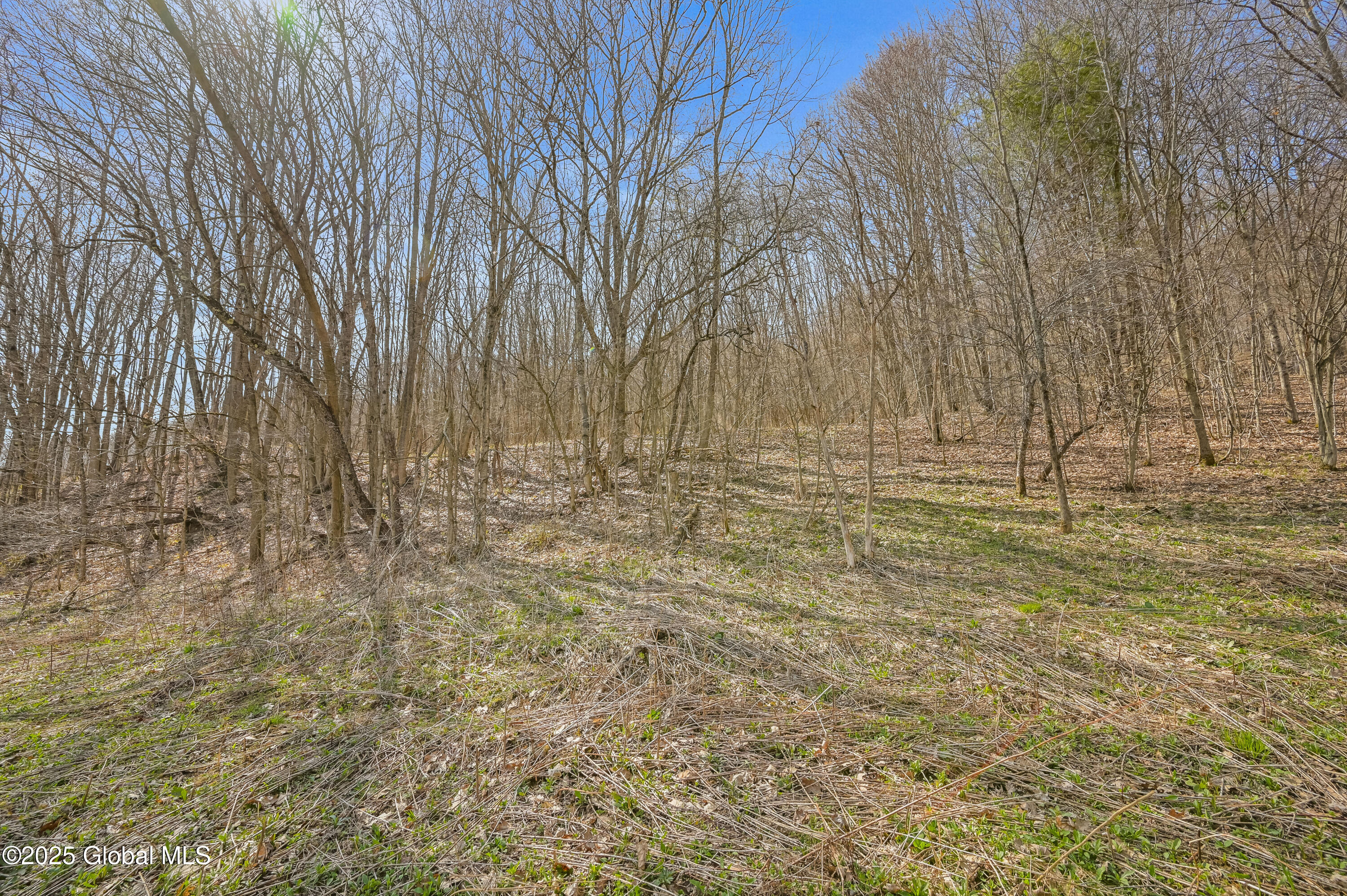 L9.112 Lutheranville Road, East Worcester, New York image 4