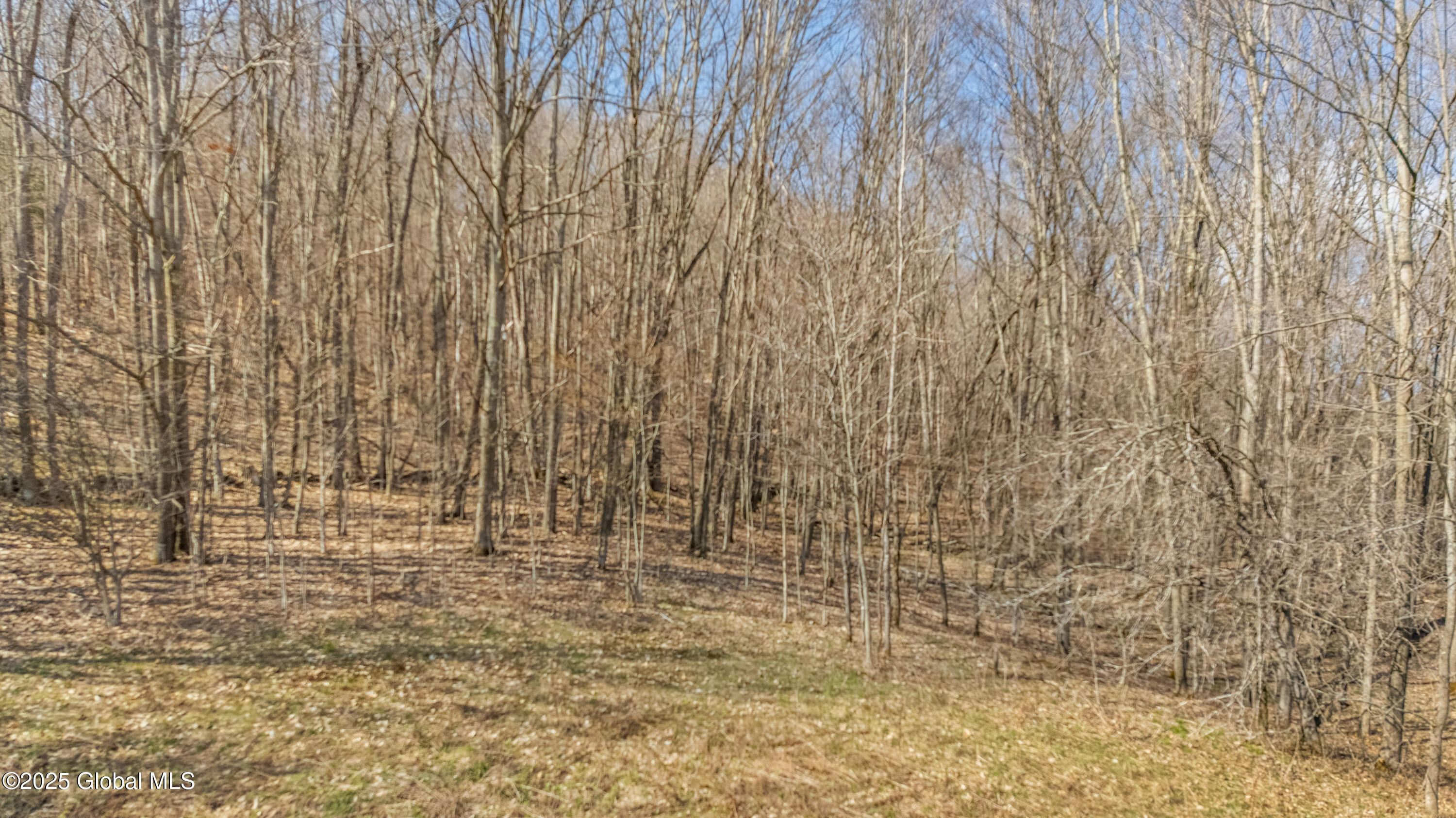L9.112 Lutheranville Road, East Worcester, New York image 3