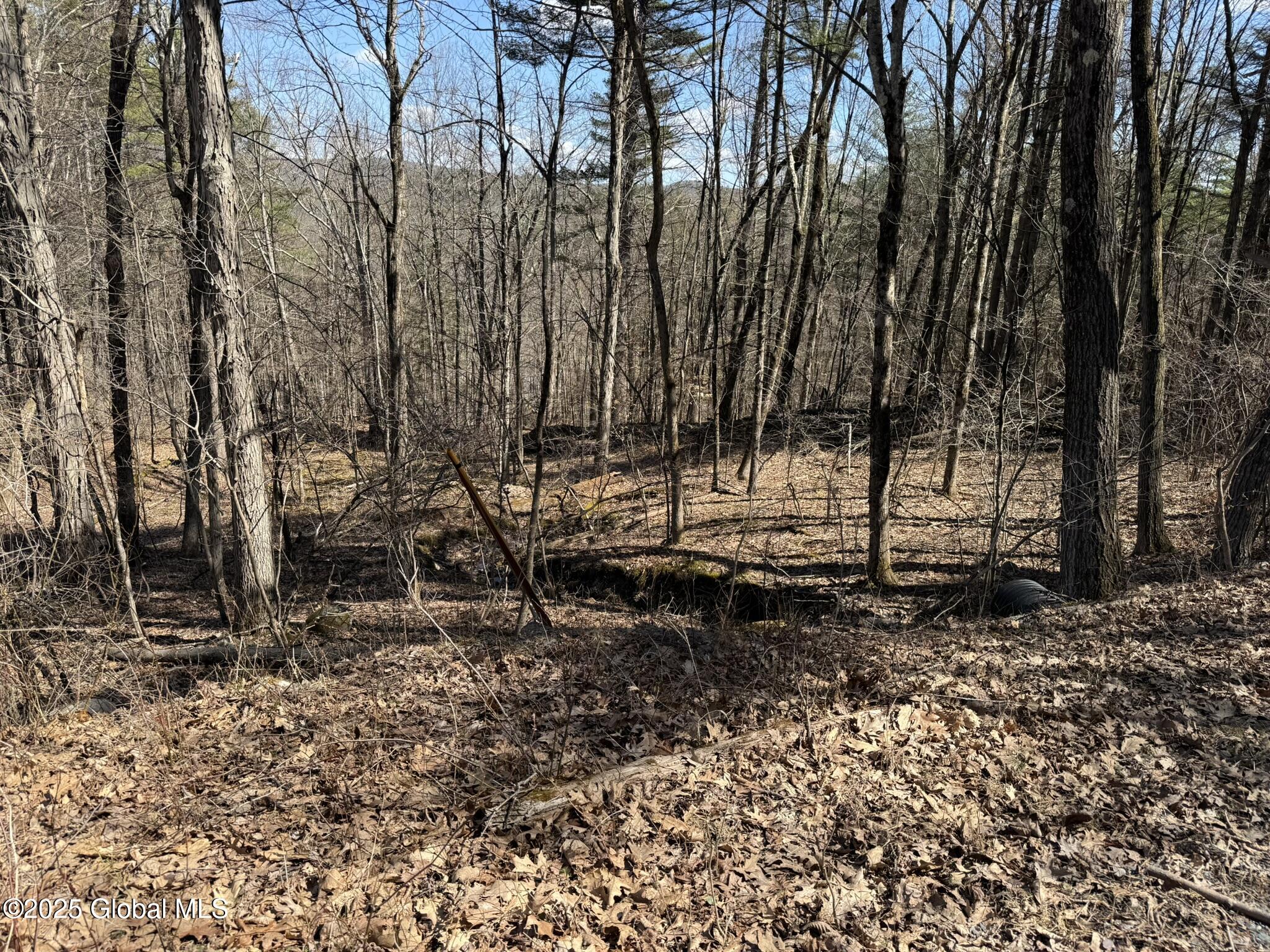 L17.24 Tsatsawassa Lake Road, East Nassau, New York image 3