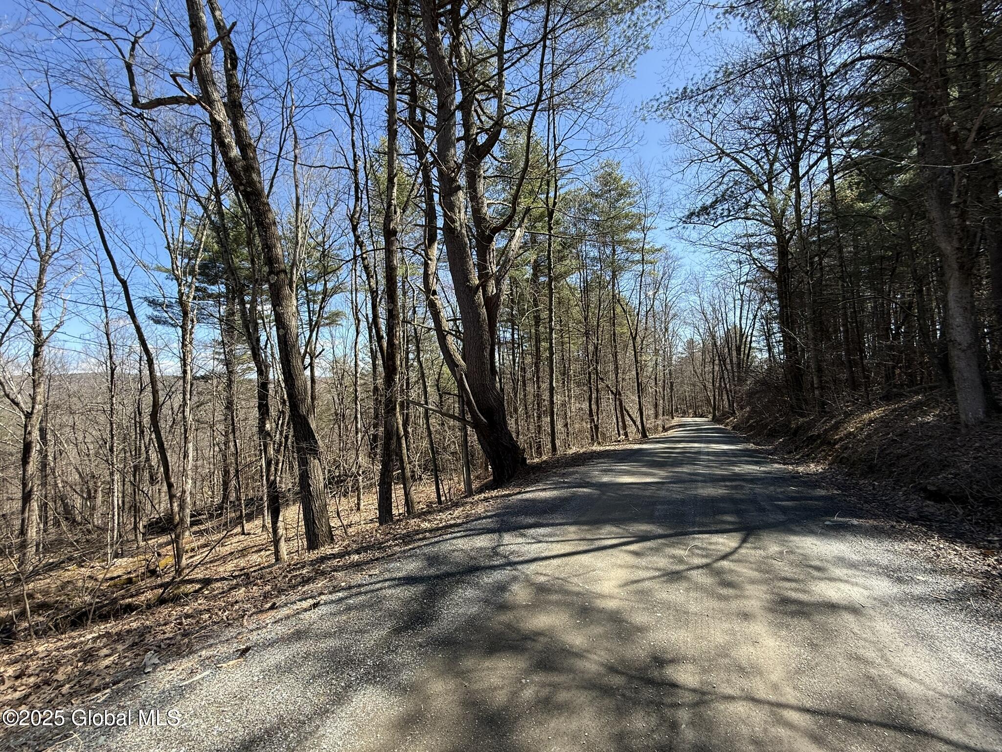 L17.24 Tsatsawassa Lake Road, East Nassau, New York image 5