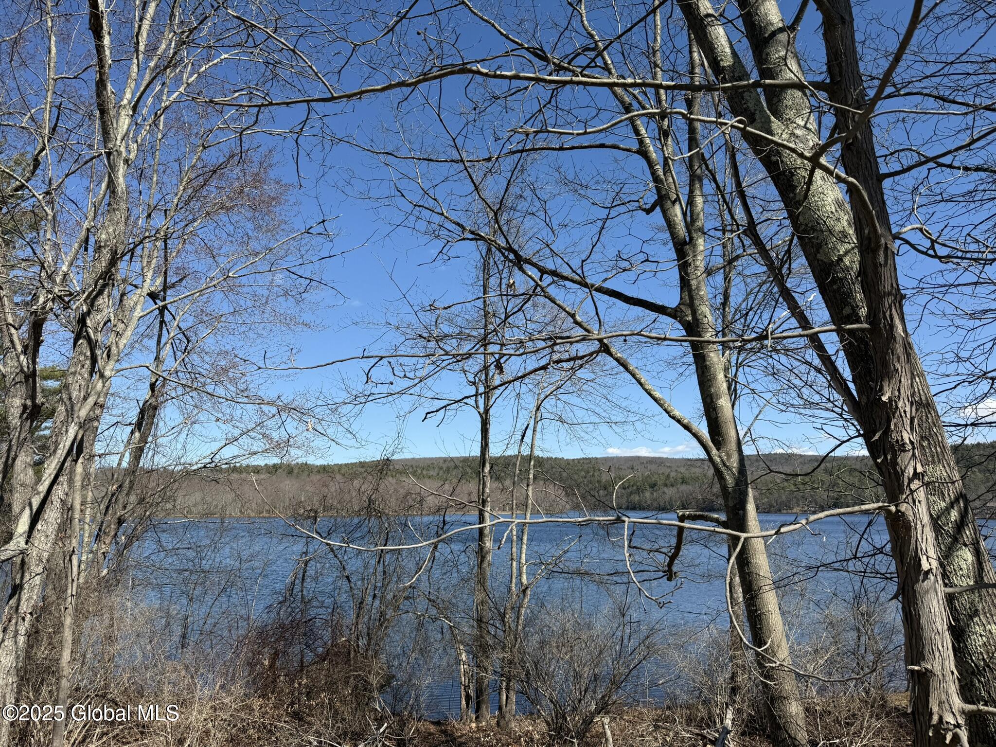 L17.24 Tsatsawassa Lake Road, East Nassau, New York image 1