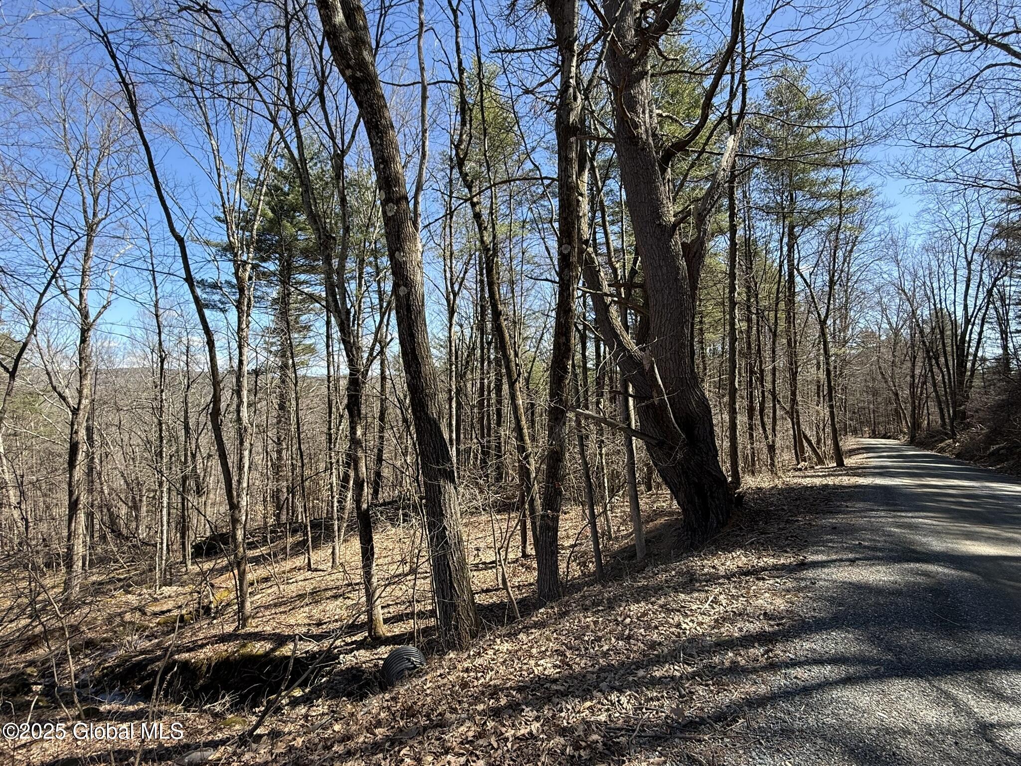 L17.24 Tsatsawassa Lake Road, East Nassau, New York image 7