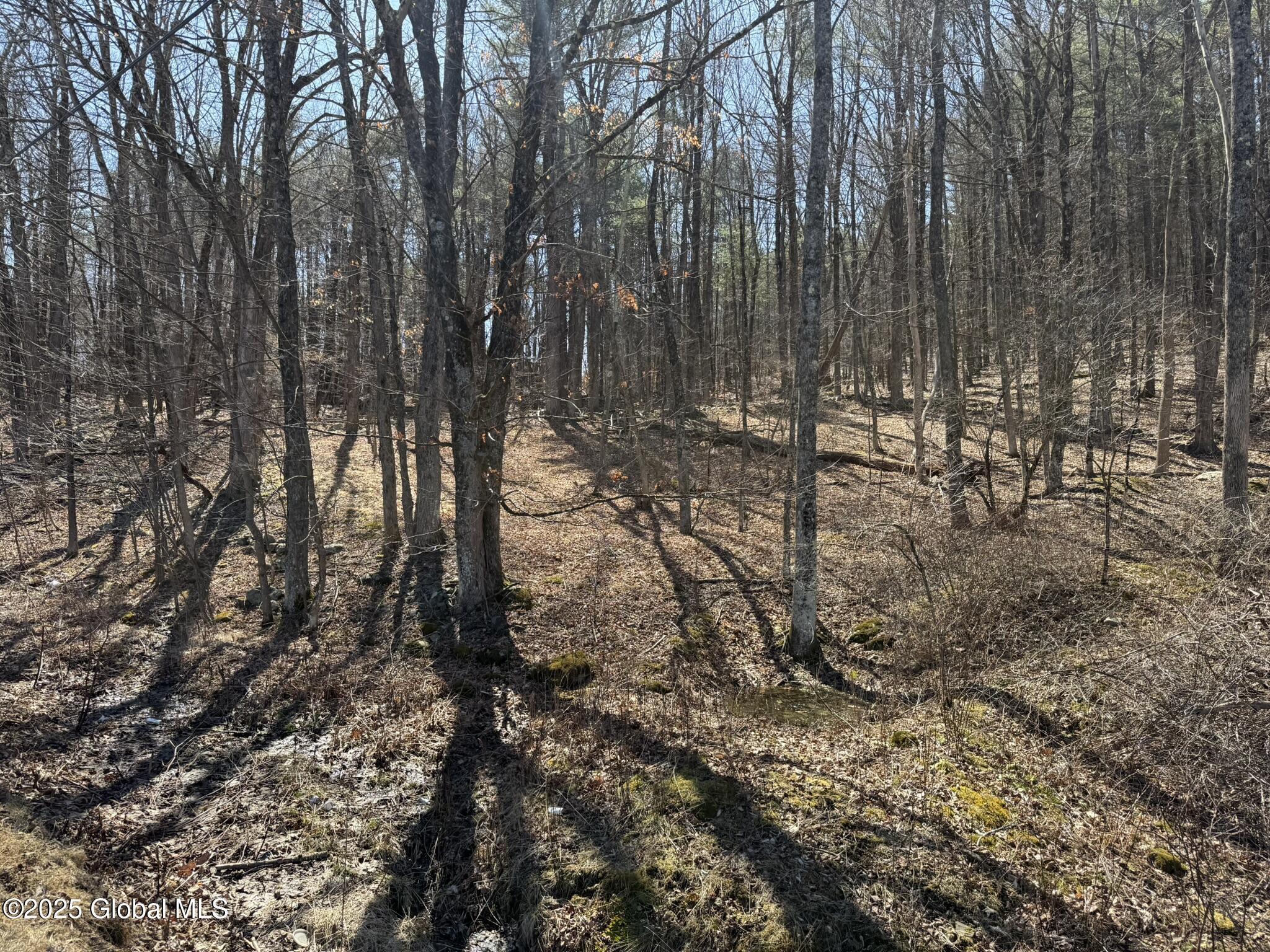 L17.24 Tsatsawassa Lake Road, East Nassau, New York image 17