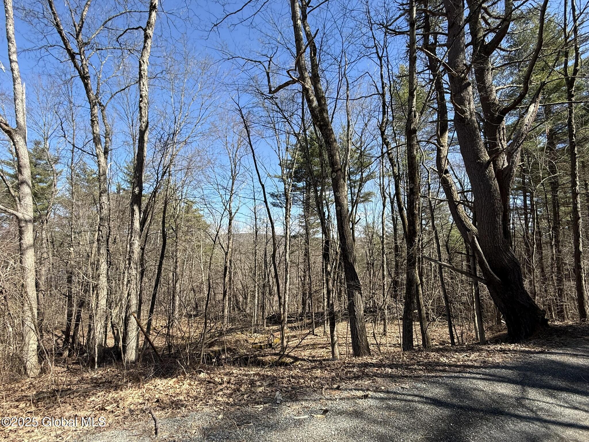 L17.24 Tsatsawassa Lake Road, East Nassau, New York image 6