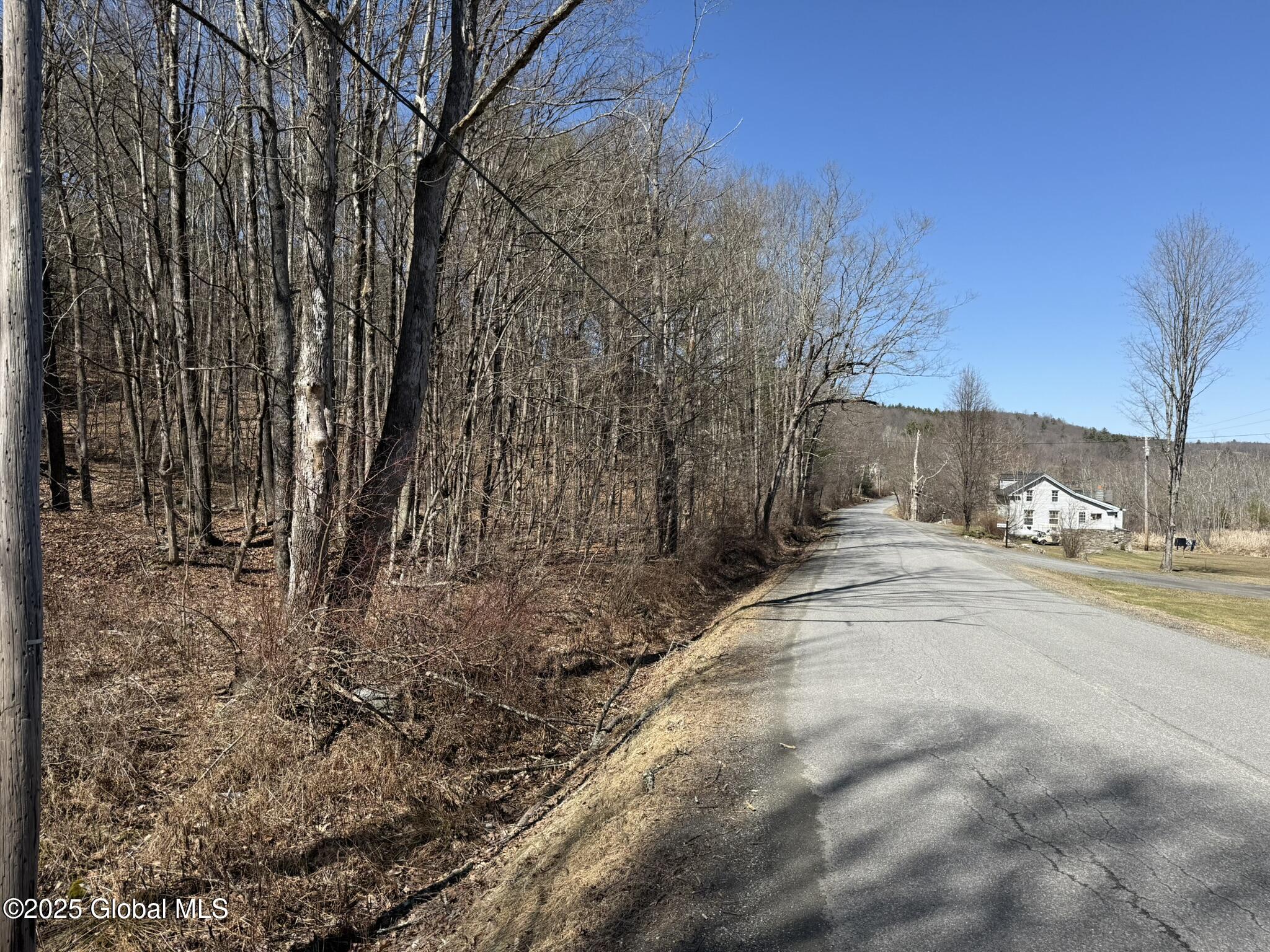 L17.24 Tsatsawassa Lake Road, East Nassau, New York image 16