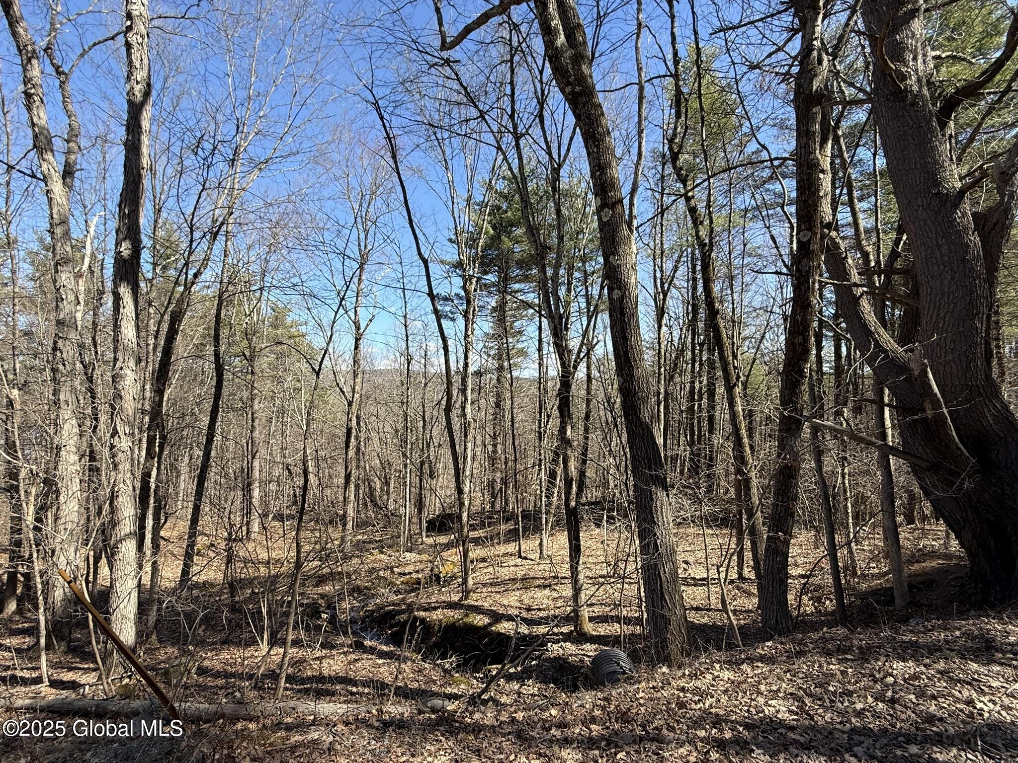 L17.24 Tsatsawassa Lake Road, East Nassau, New York image 8