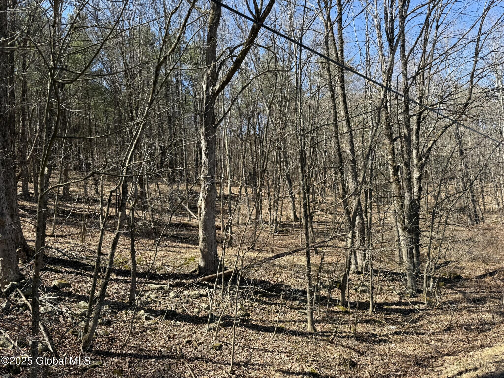L17.24 Tsatsawassa Lake Road, East Nassau, New York image 2
