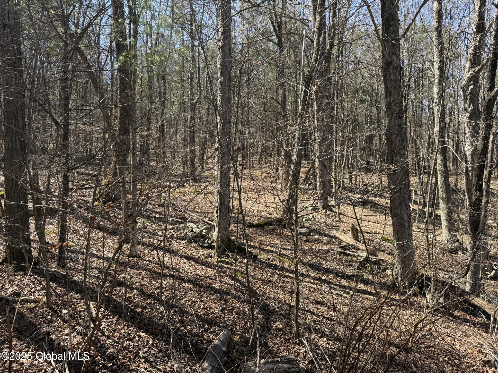 L17.24 Tsatsawassa Lake Road, East Nassau, New York image 14