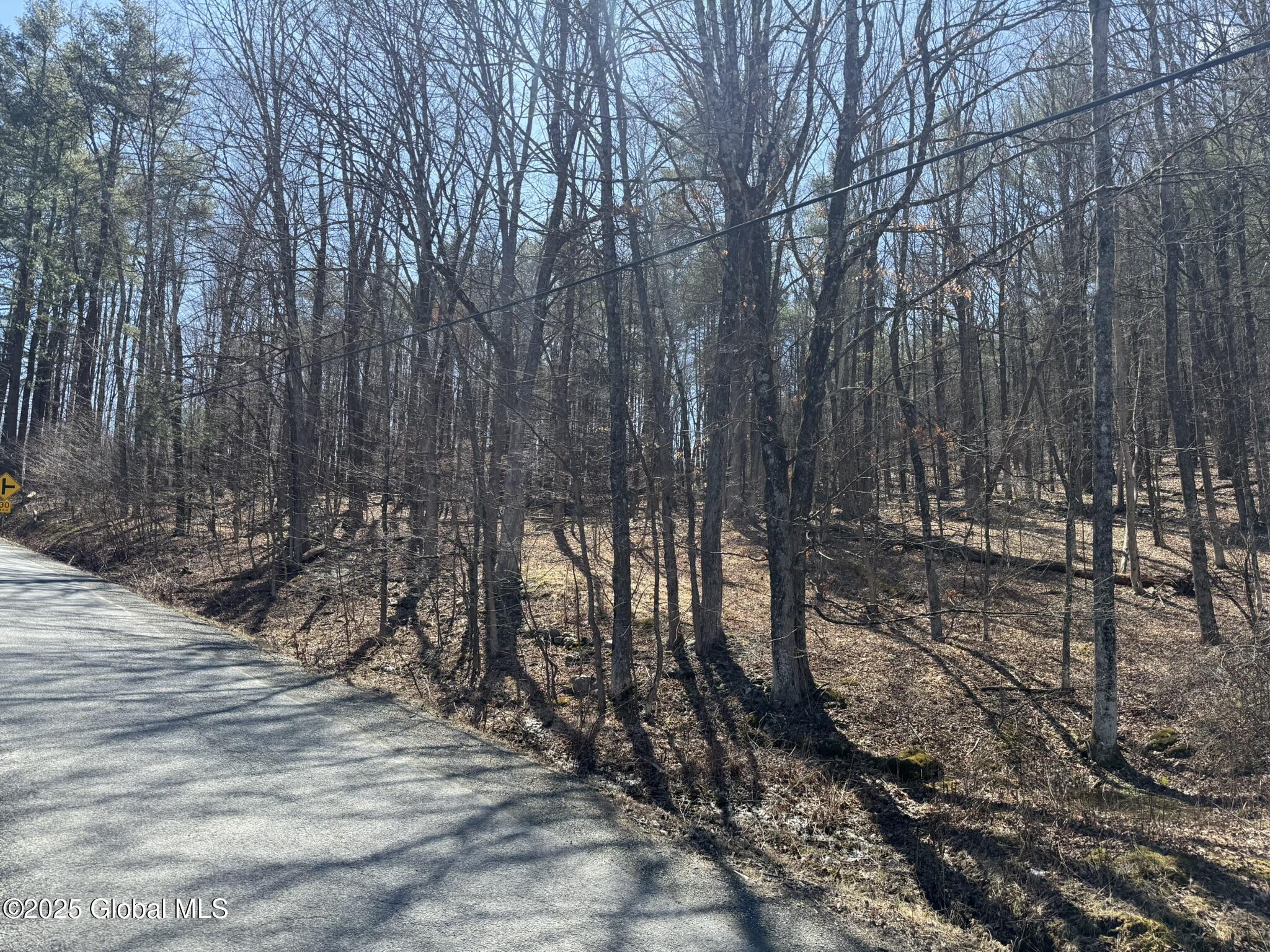 L17.24 Tsatsawassa Lake Road, East Nassau, New York image 12