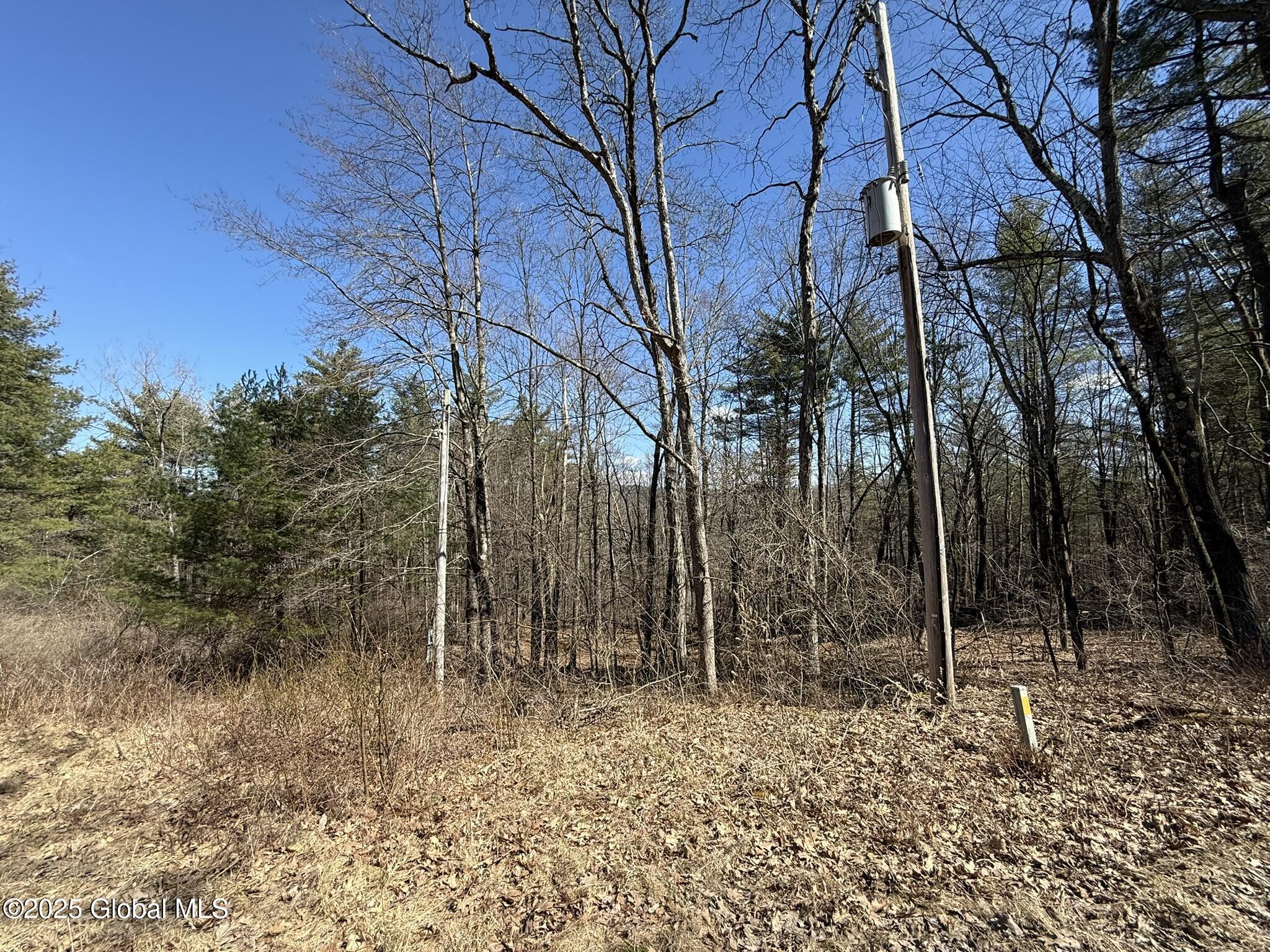 L17.24 Tsatsawassa Lake Road, East Nassau, New York image 11