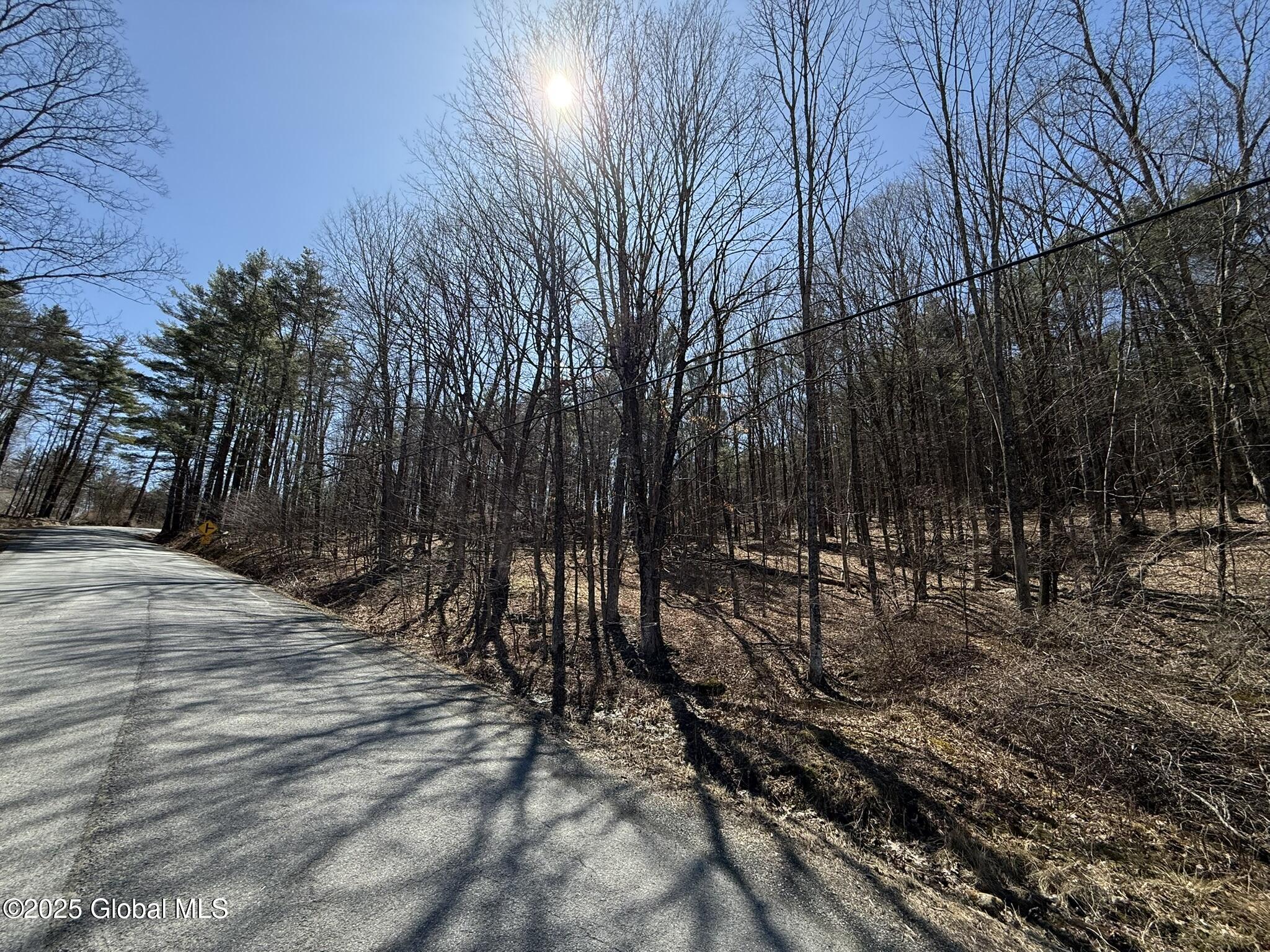 L17.24 Tsatsawassa Lake Road, East Nassau, New York image 18
