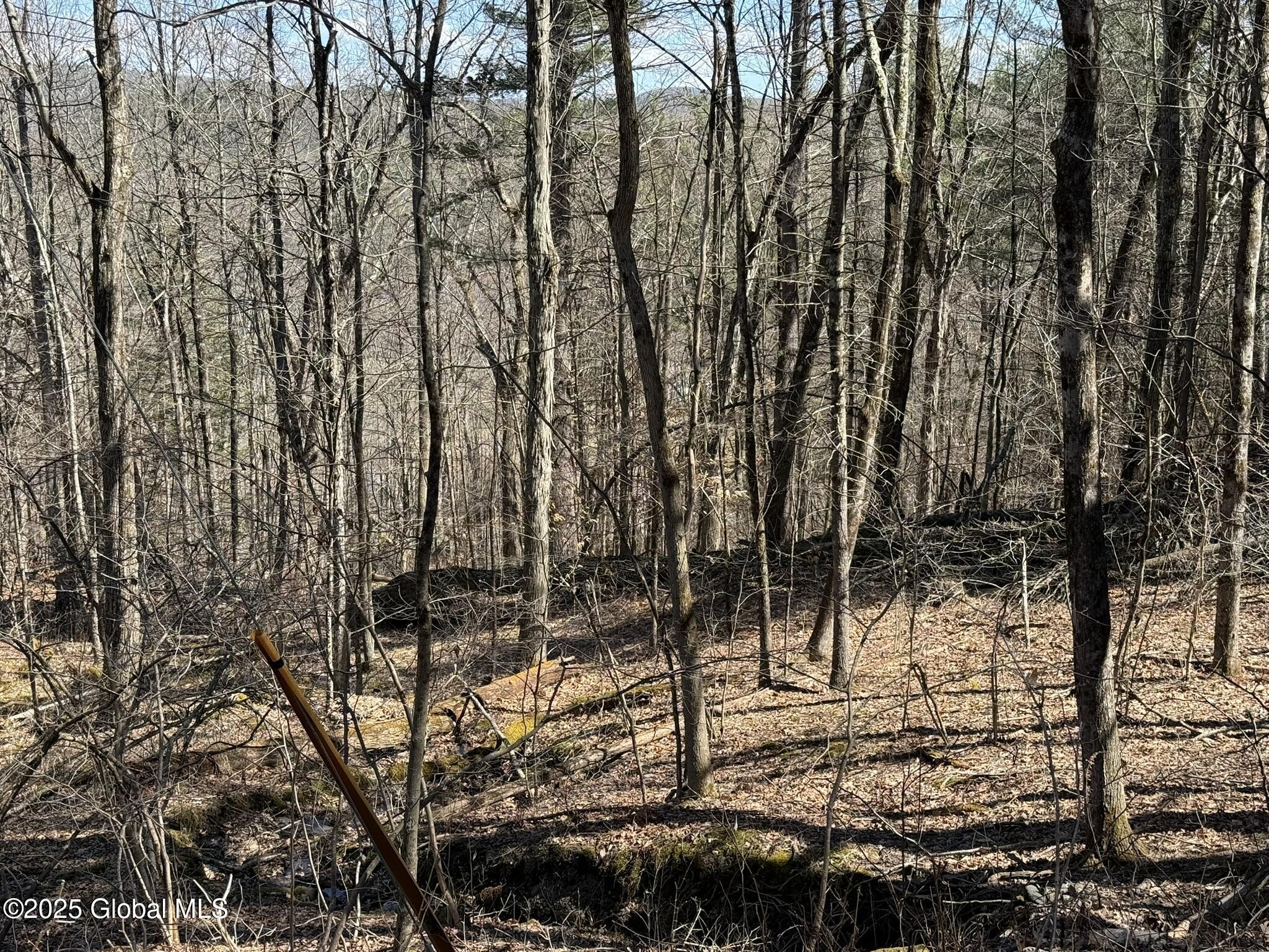 L17.24 Tsatsawassa Lake Road, East Nassau, New York image 4