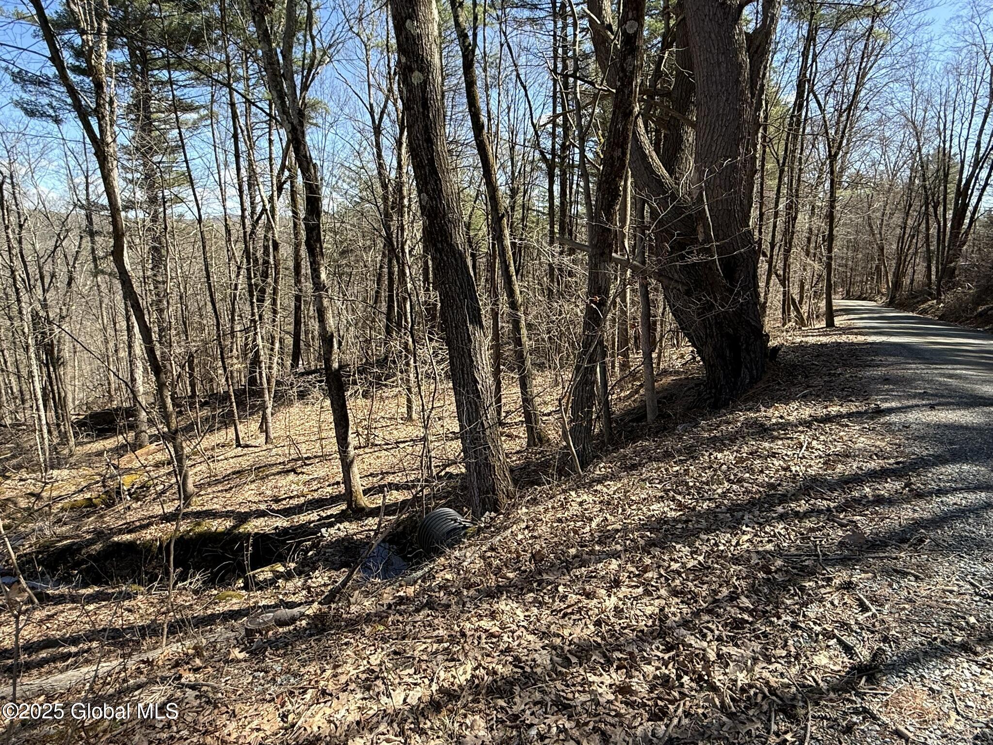 L17.24 Tsatsawassa Lake Road, East Nassau, New York image 9