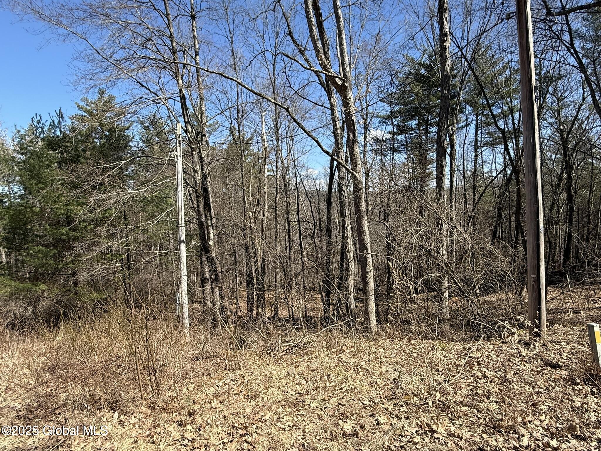 L17.24 Tsatsawassa Lake Road, East Nassau, New York image 10