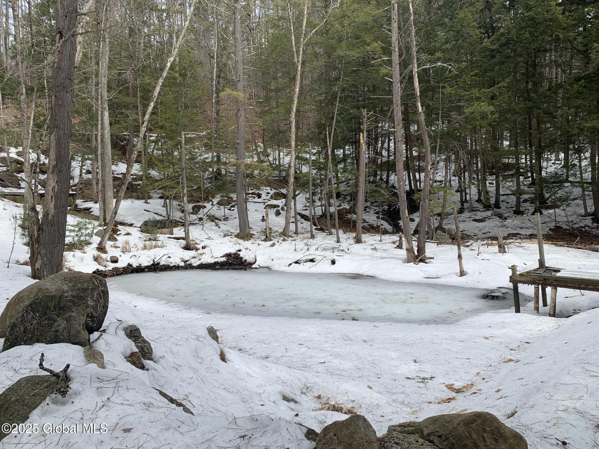 41 Gibbons Road, Brant Lake, New York image 11