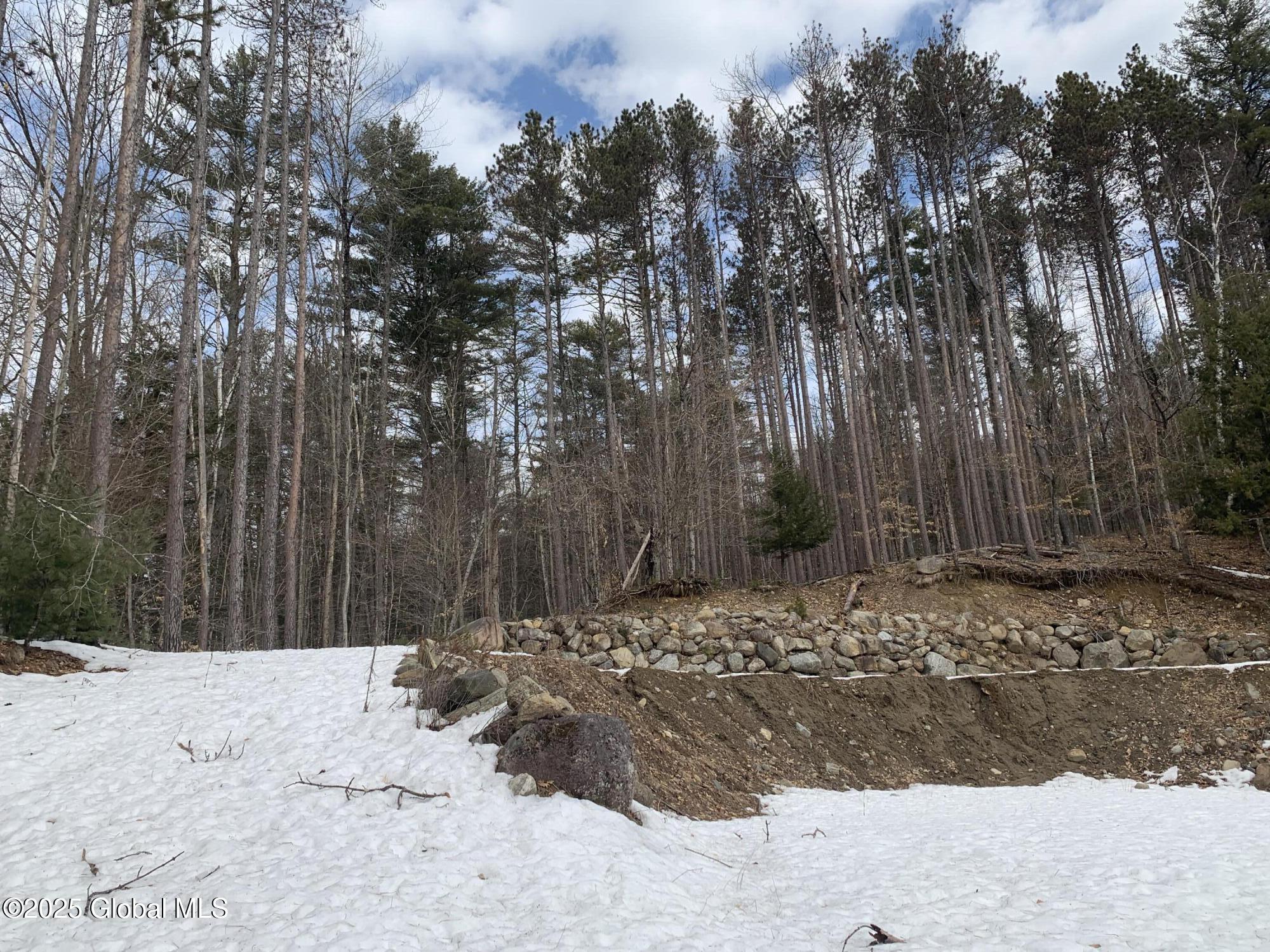 41 Gibbons Road, Brant Lake, New York image 21