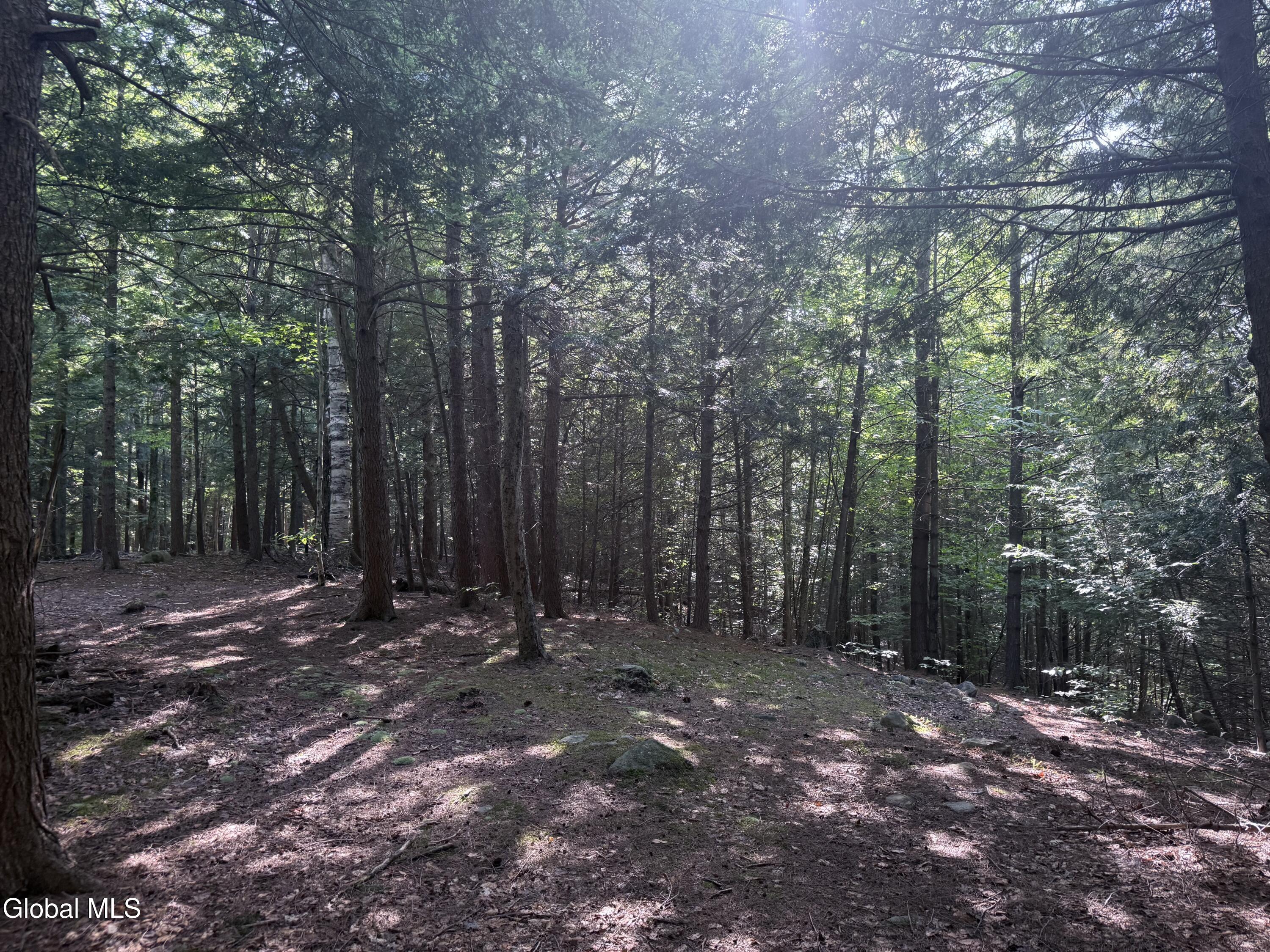 Porter Corners, New York 12859, United States, ,Commercial,Active,196126