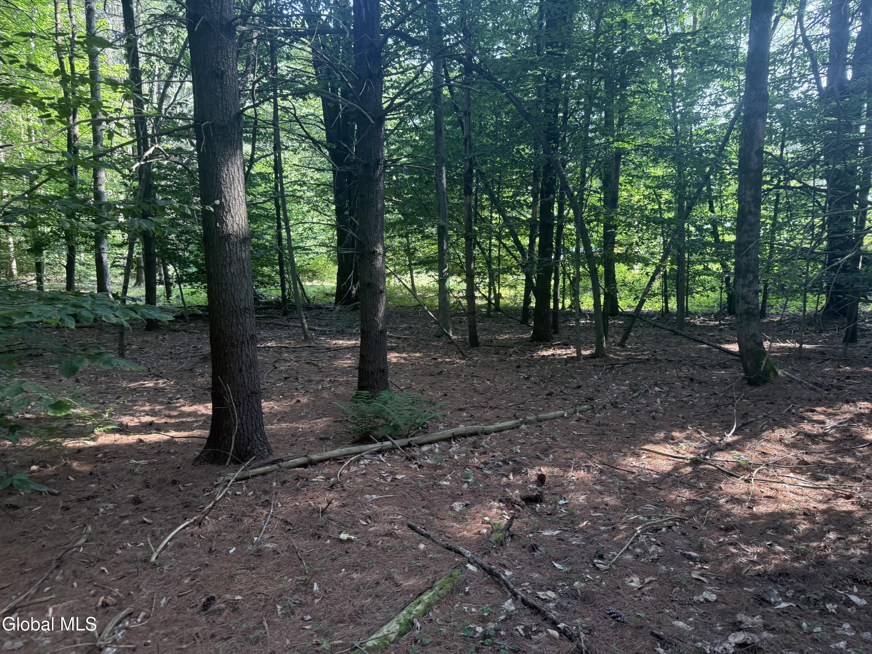 Porter Corners, New York 12859, United States, ,Commercial,Active,196126