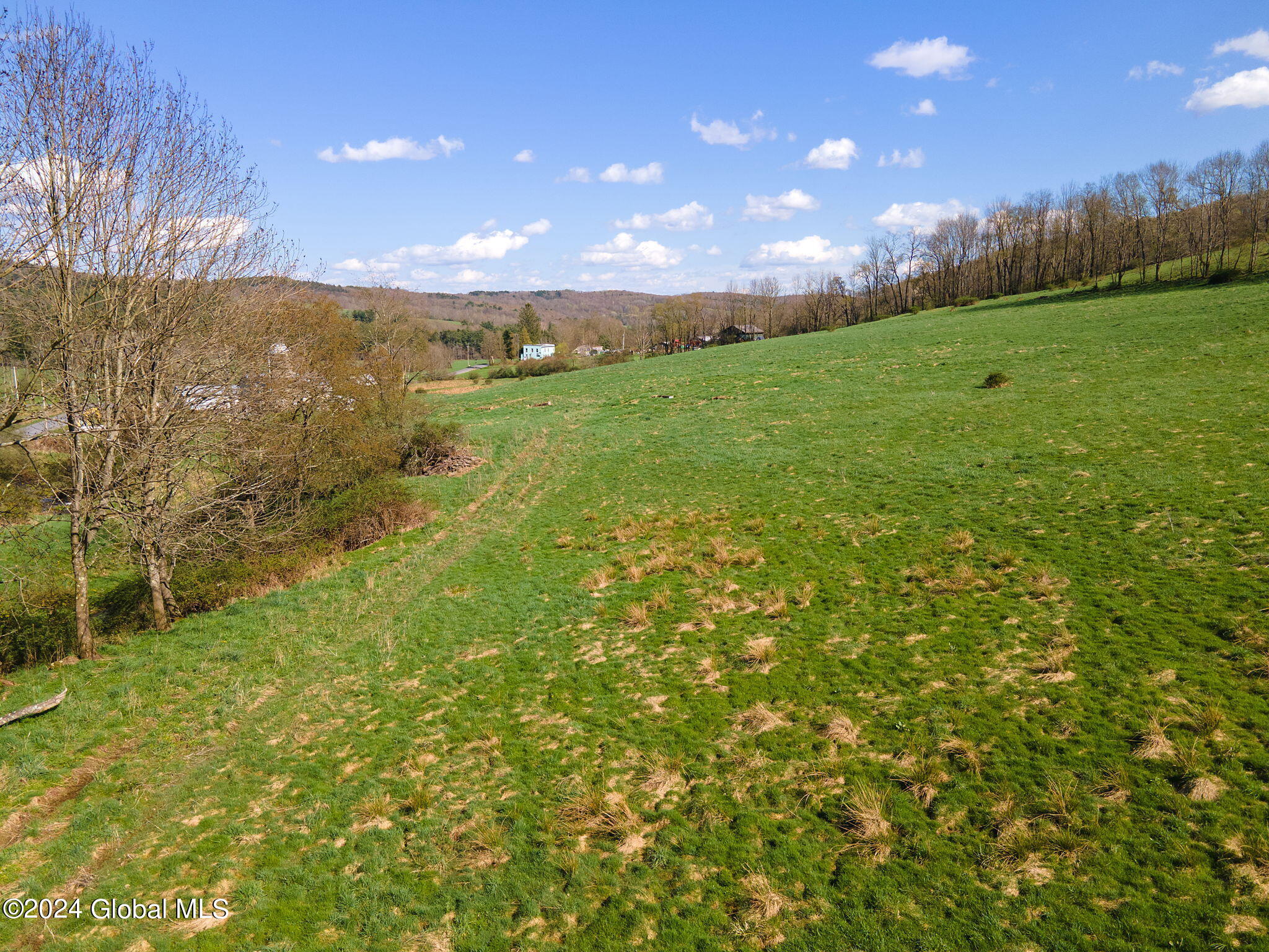 1007 County Highway 6, Otego, New York image 9