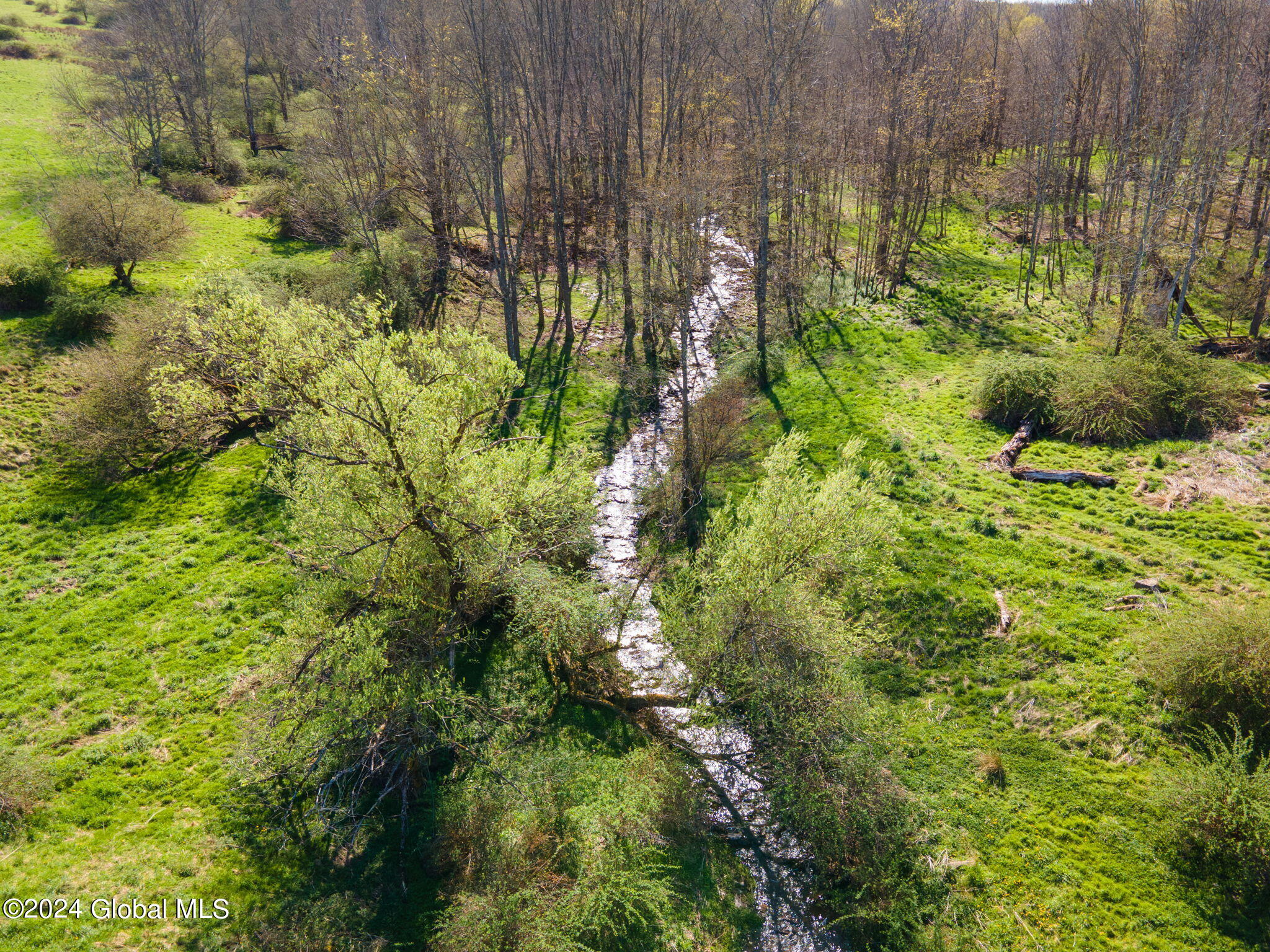 1007 County Highway 6, Otego, New York image 7