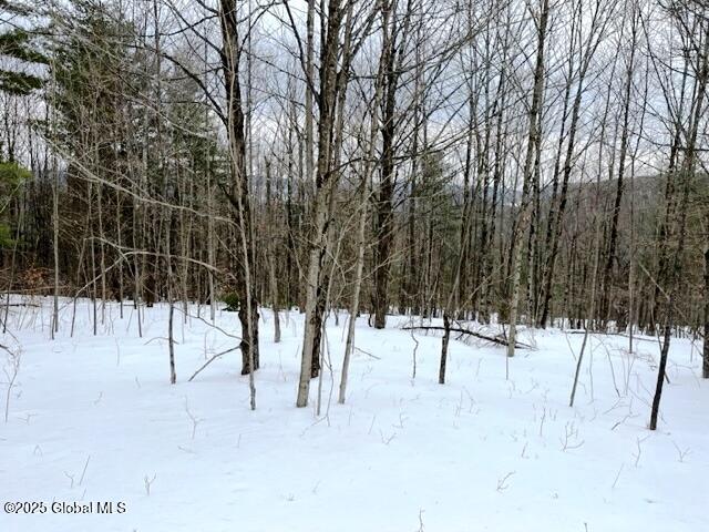 L78 Armlin Road, Middleburgh, New York image 8