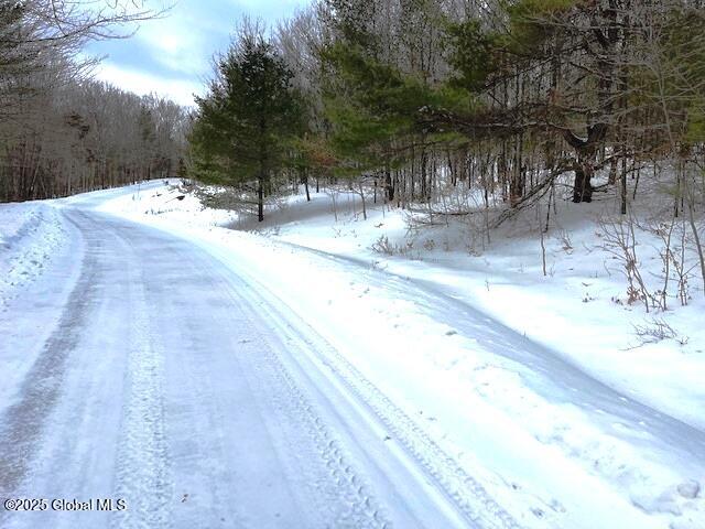 L78 Armlin Road, Middleburgh, New York image 1