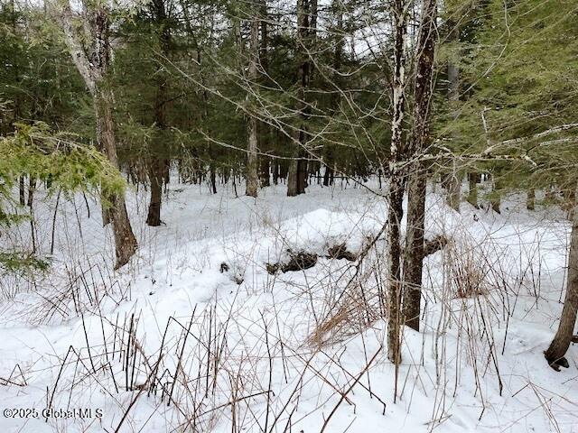L78 Armlin Road, Middleburgh, New York image 14