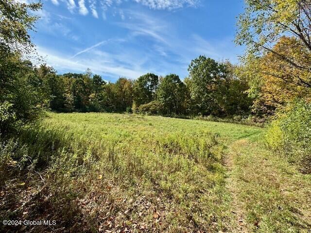 3236 County Route 43, Fort Ann, New York image 9