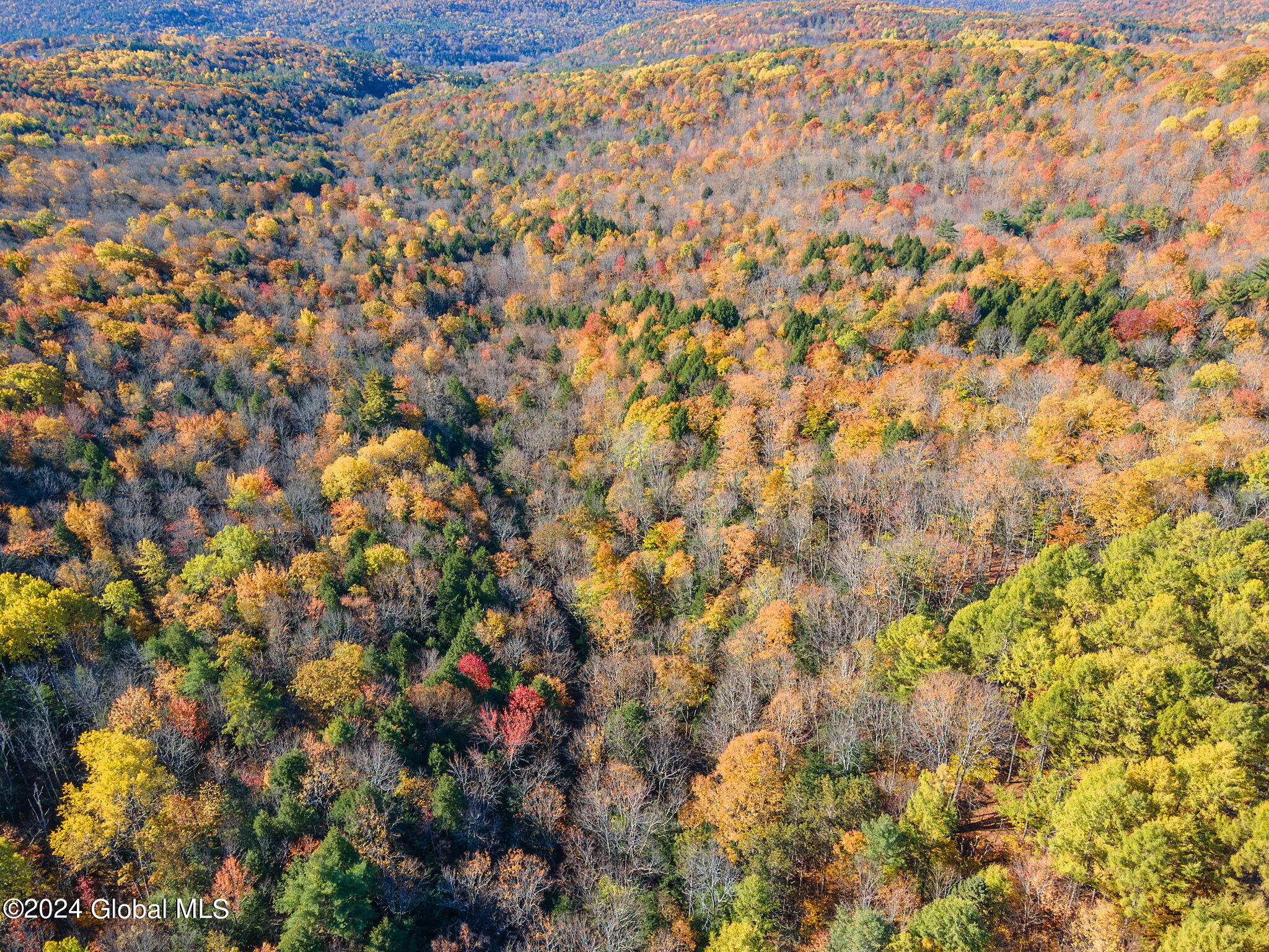 L2 Lawton Hollow Road, Berne, New York image 7