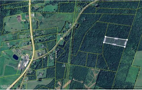 Vacant Land For Sale - L8 Barton Hill Road<br/> Schoharie, NY 12157