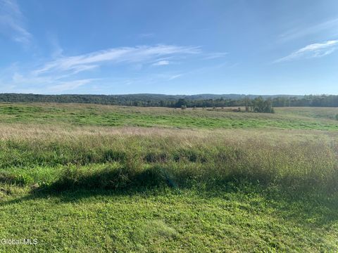 Vacant Land For Sale - L34.111 Western Turnpike<br/> Schenectady County, Esperance, NY 12066