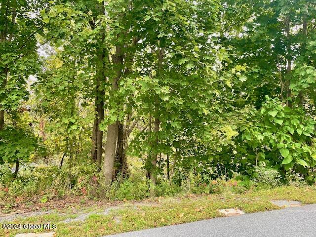 L2 Hovey Avenue, Hoosick Falls, New York image 1