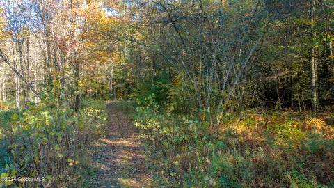 Vacant Land For Sale - L122 Dimmick Road<br/> Gansevoort, NY 12831