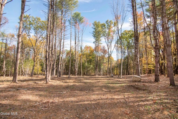 113 SAND HILL RD, GREENFIELD CENTER, NY 12833 - Image 74bdc7268276af8e624bd8d3d331ccb8/1698540288
