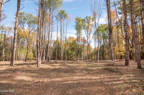 Vacant Land For Sale - 113A Sand Hill Road<br/> Greenfield Center, NY 12833
