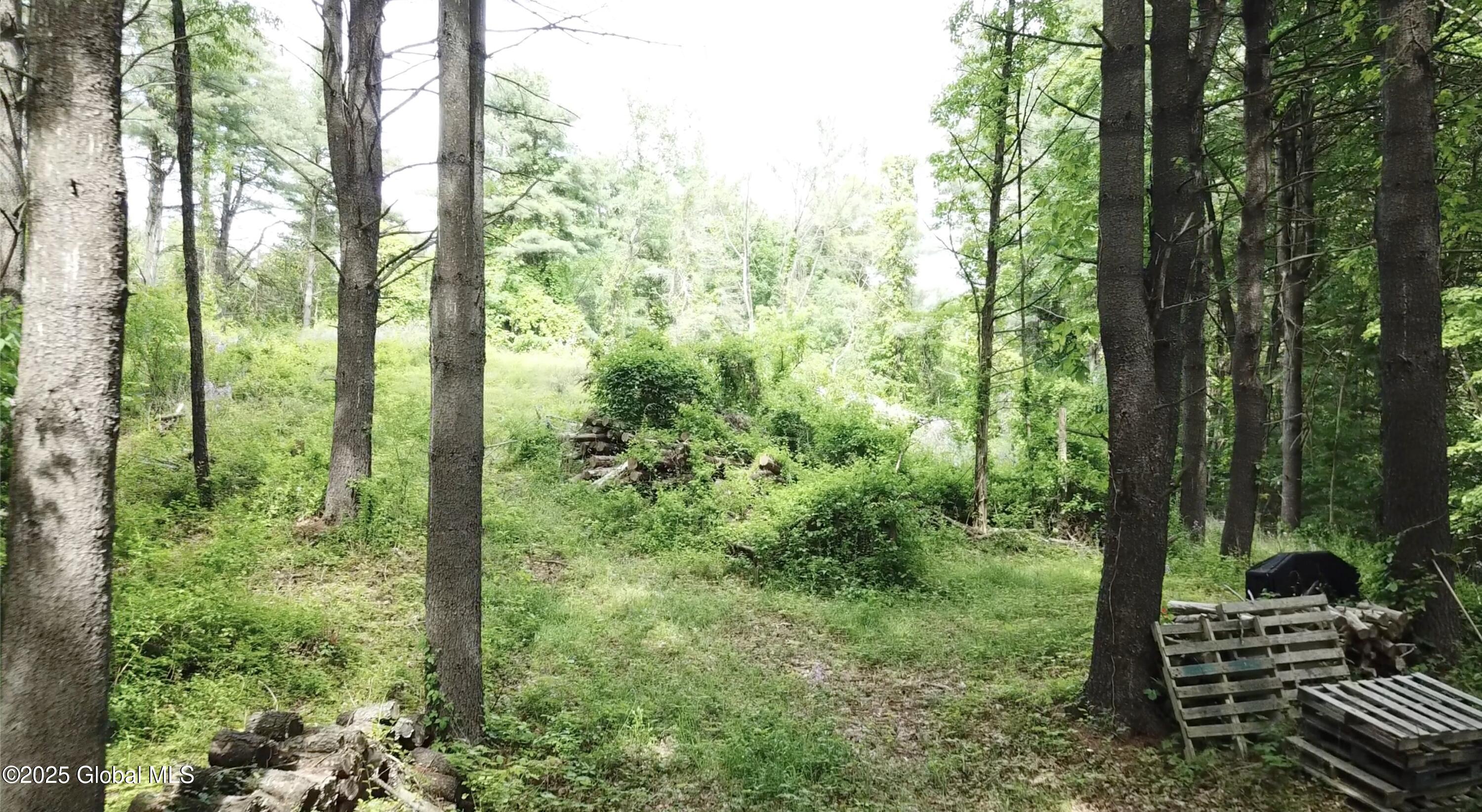 1286 Aquetuck Road, Ravena, New York image 6