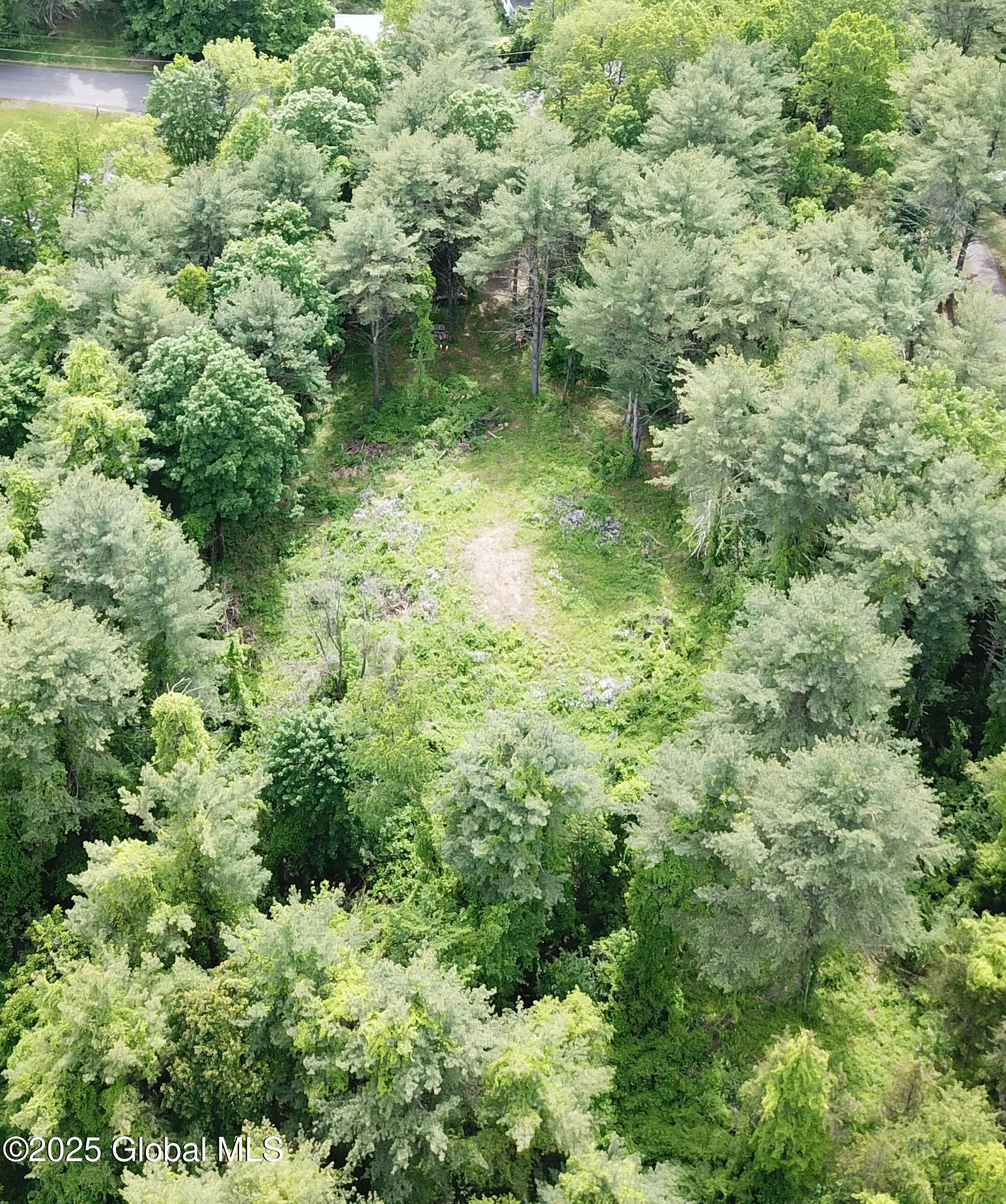 1286 Aquetuck Road, Ravena, New York image 8