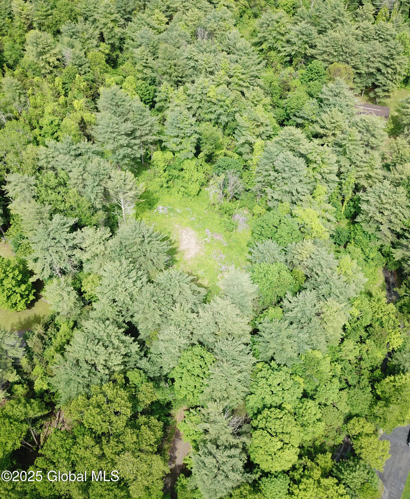 1286 Aquetuck Road, Ravena, New York image 4