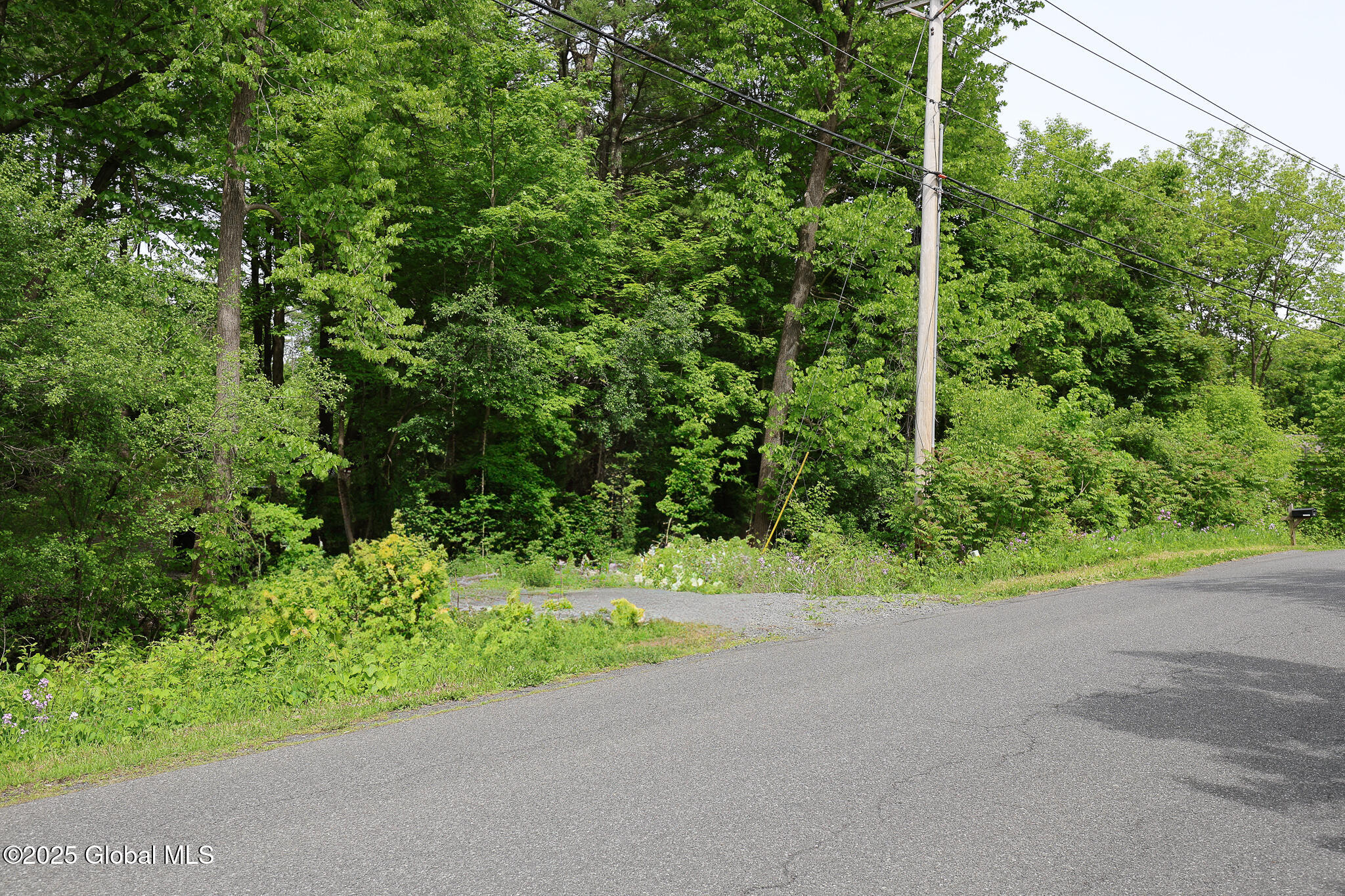 1286 Aquetuck Road, Ravena, New York image 19