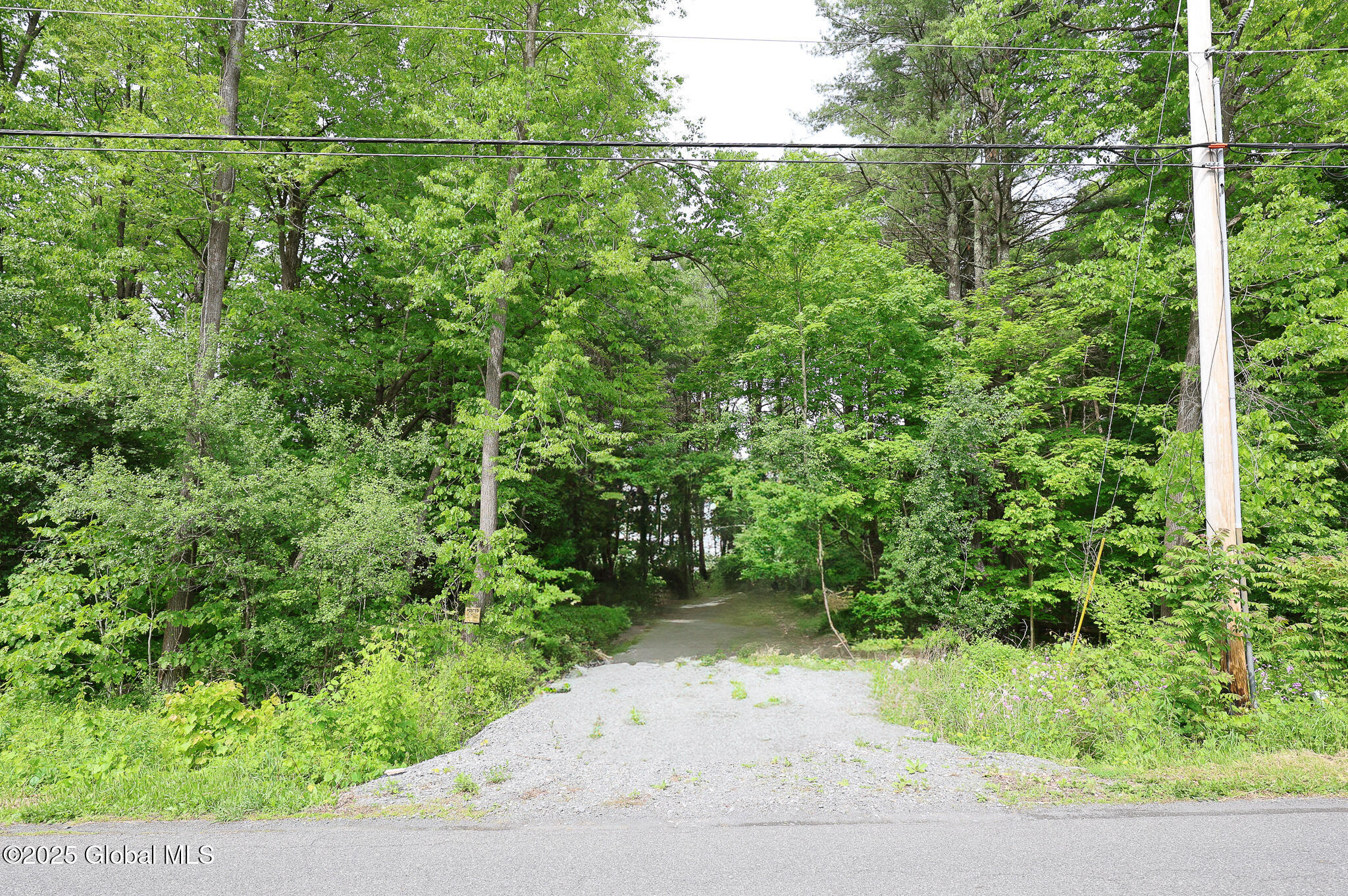 1286 Aquetuck Road, Ravena, New York image 3