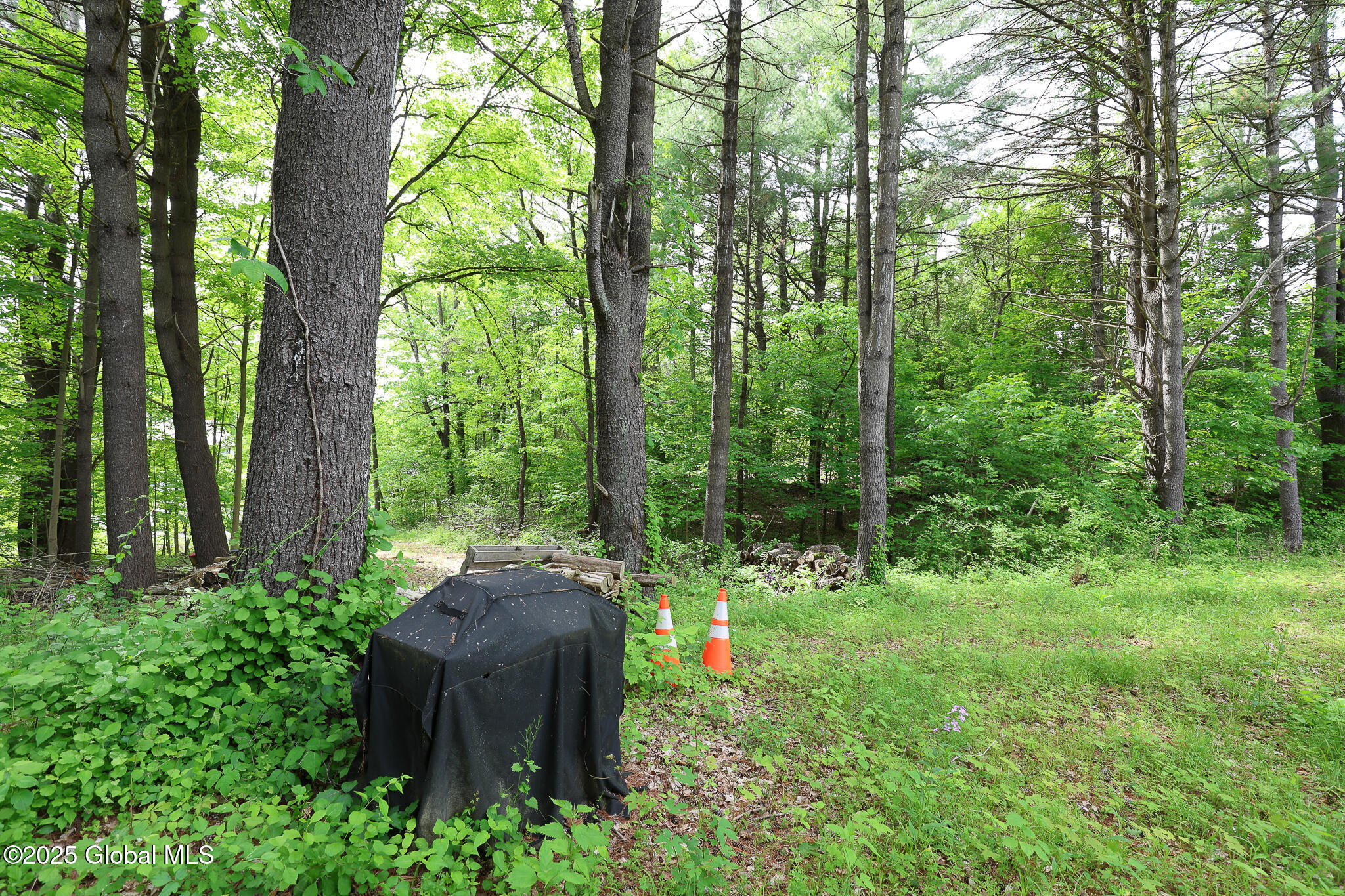 1286 Aquetuck Road, Ravena, New York image 13