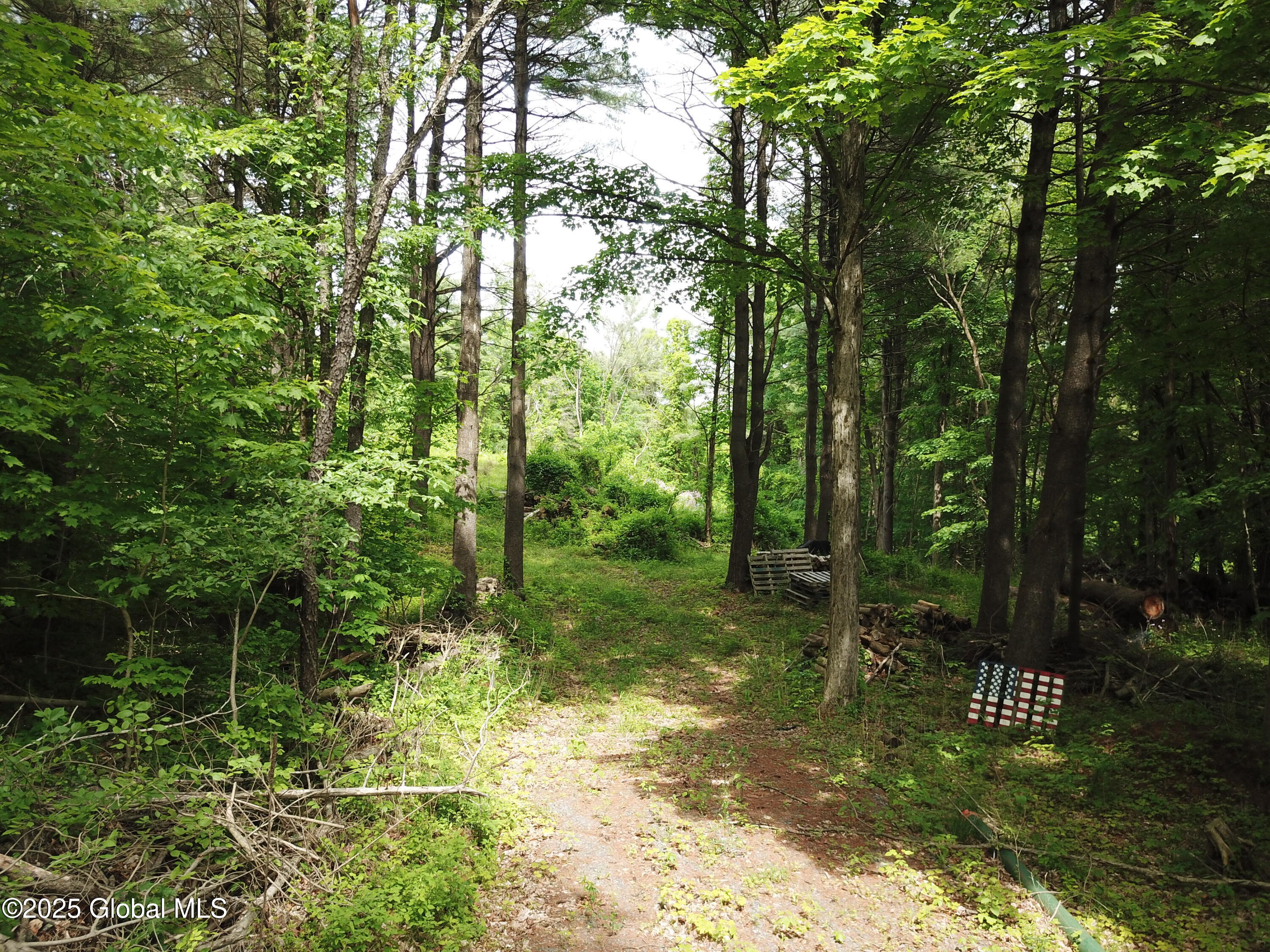 1286 Aquetuck Road, Ravena, New York image 23