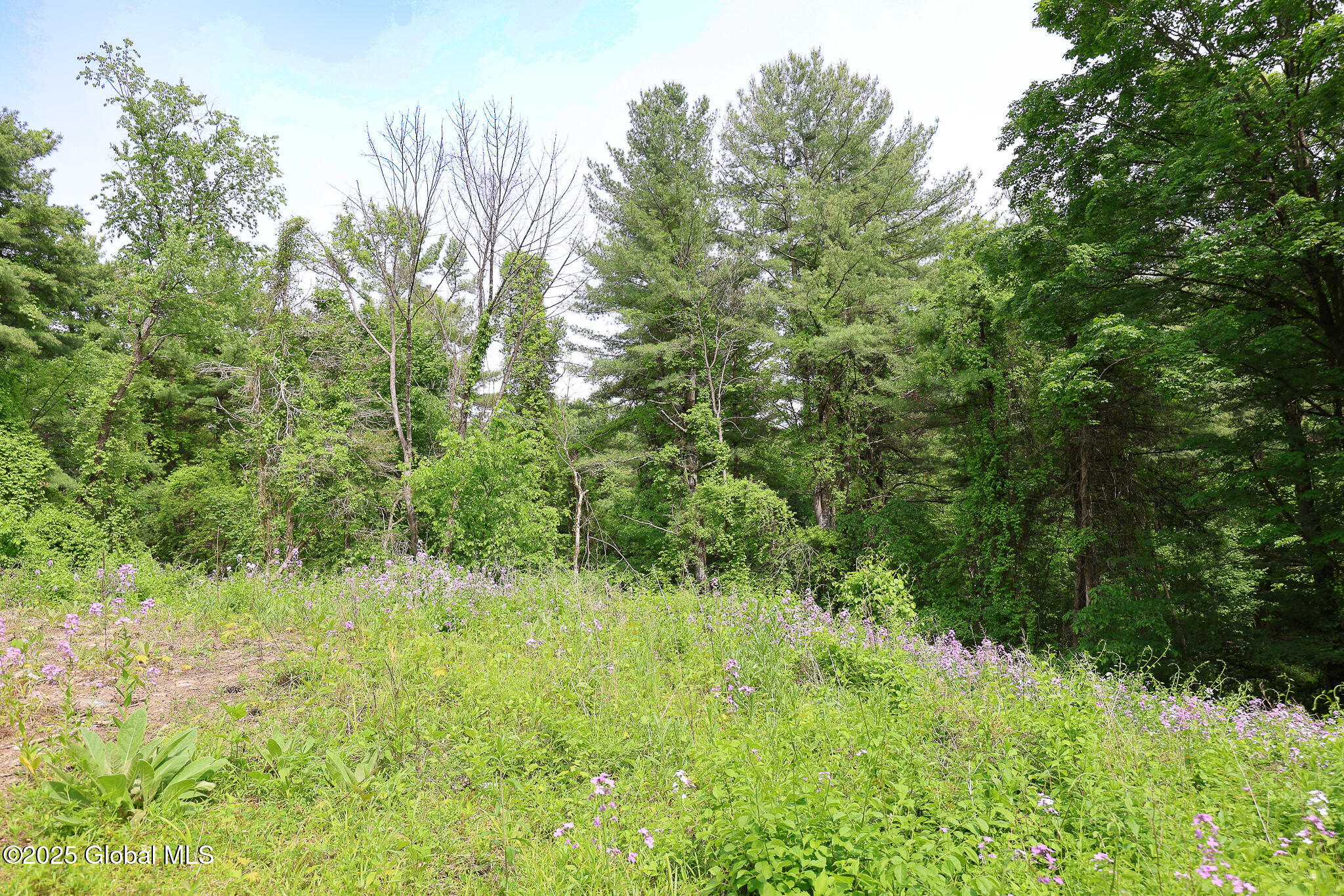 1286 Aquetuck Road, Ravena, New York image 15