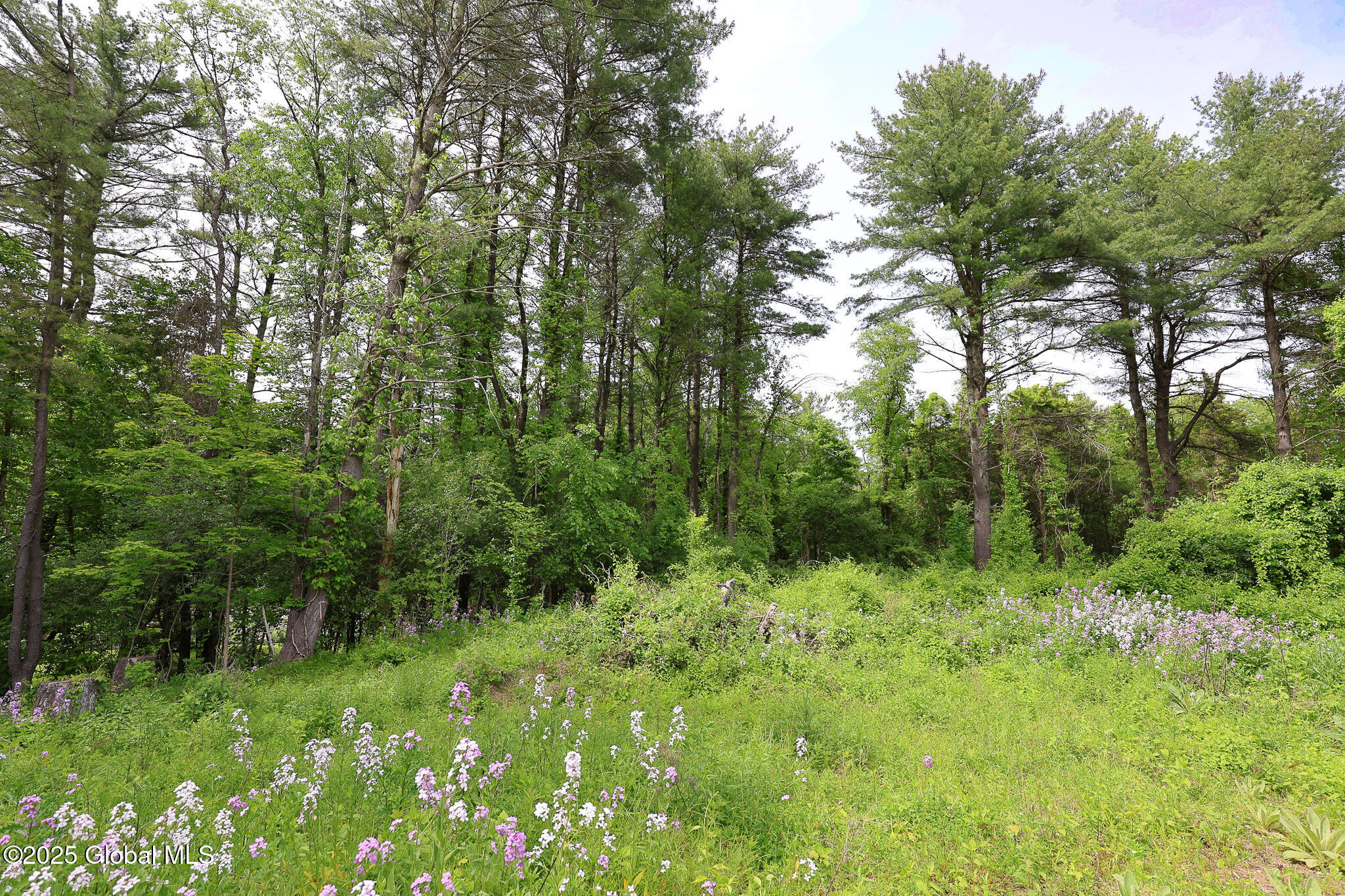 1286 Aquetuck Road, Ravena, New York image 17