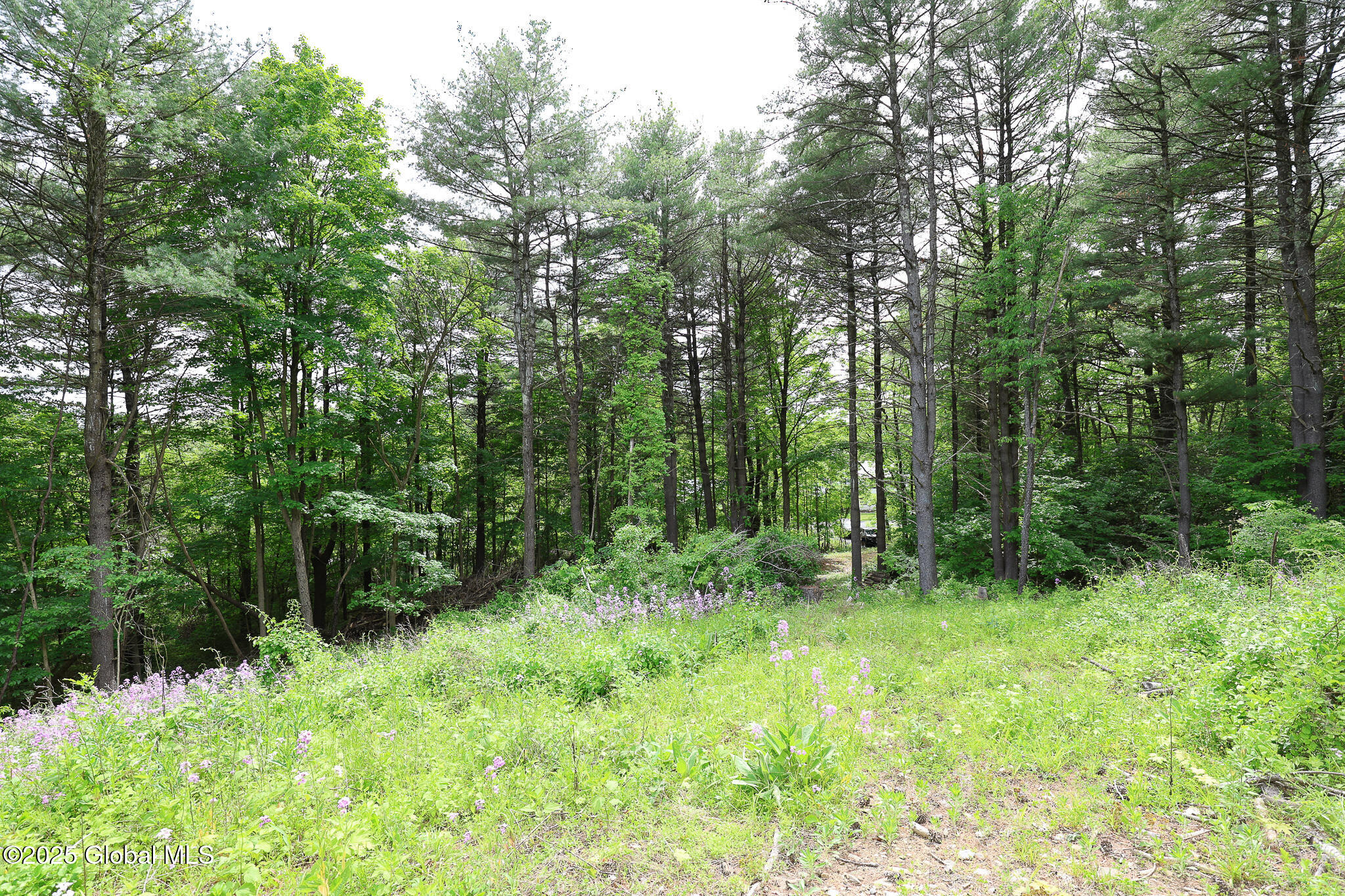 1286 Aquetuck Road, Ravena, New York image 9