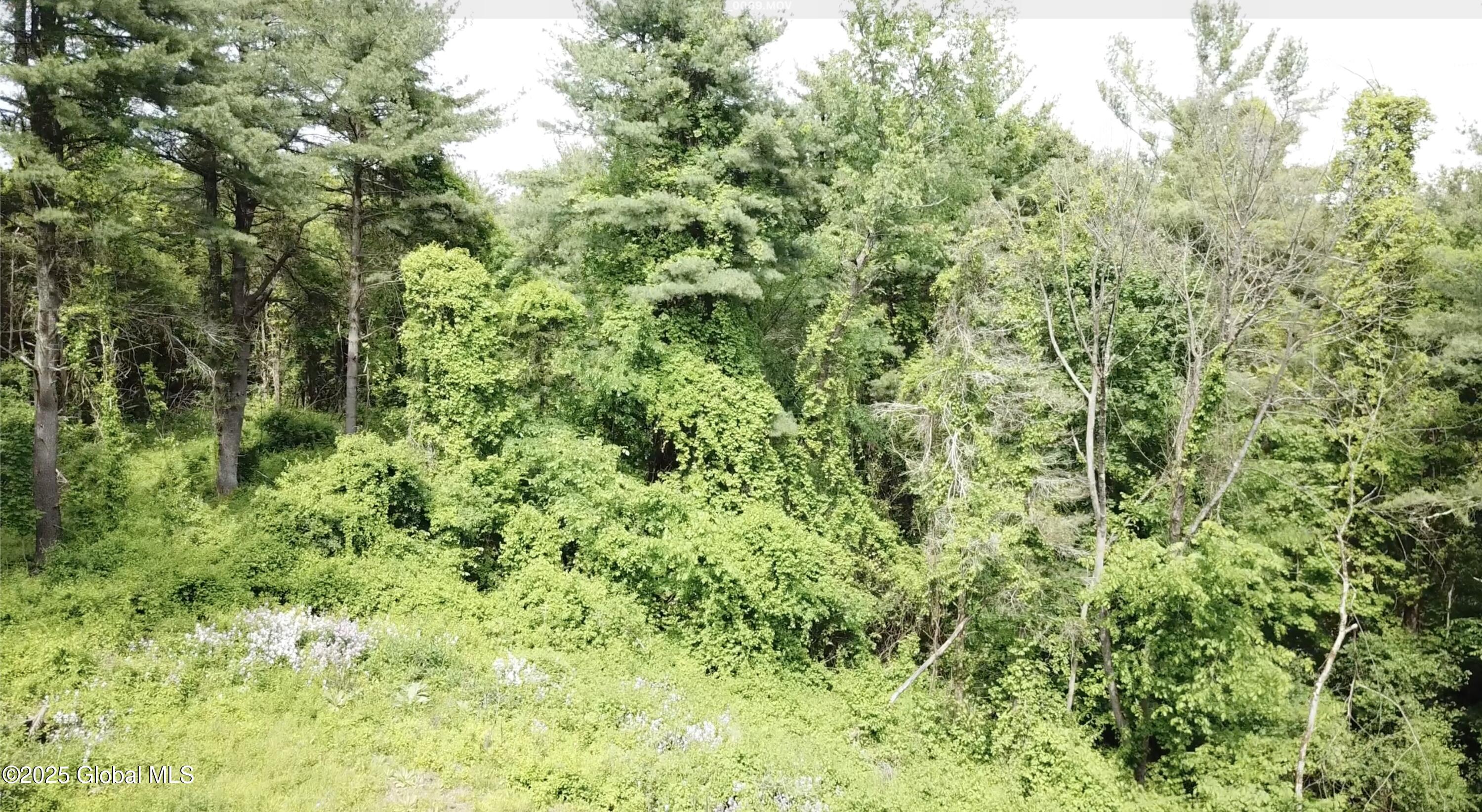 1286 Aquetuck Road, Ravena, New York image 21