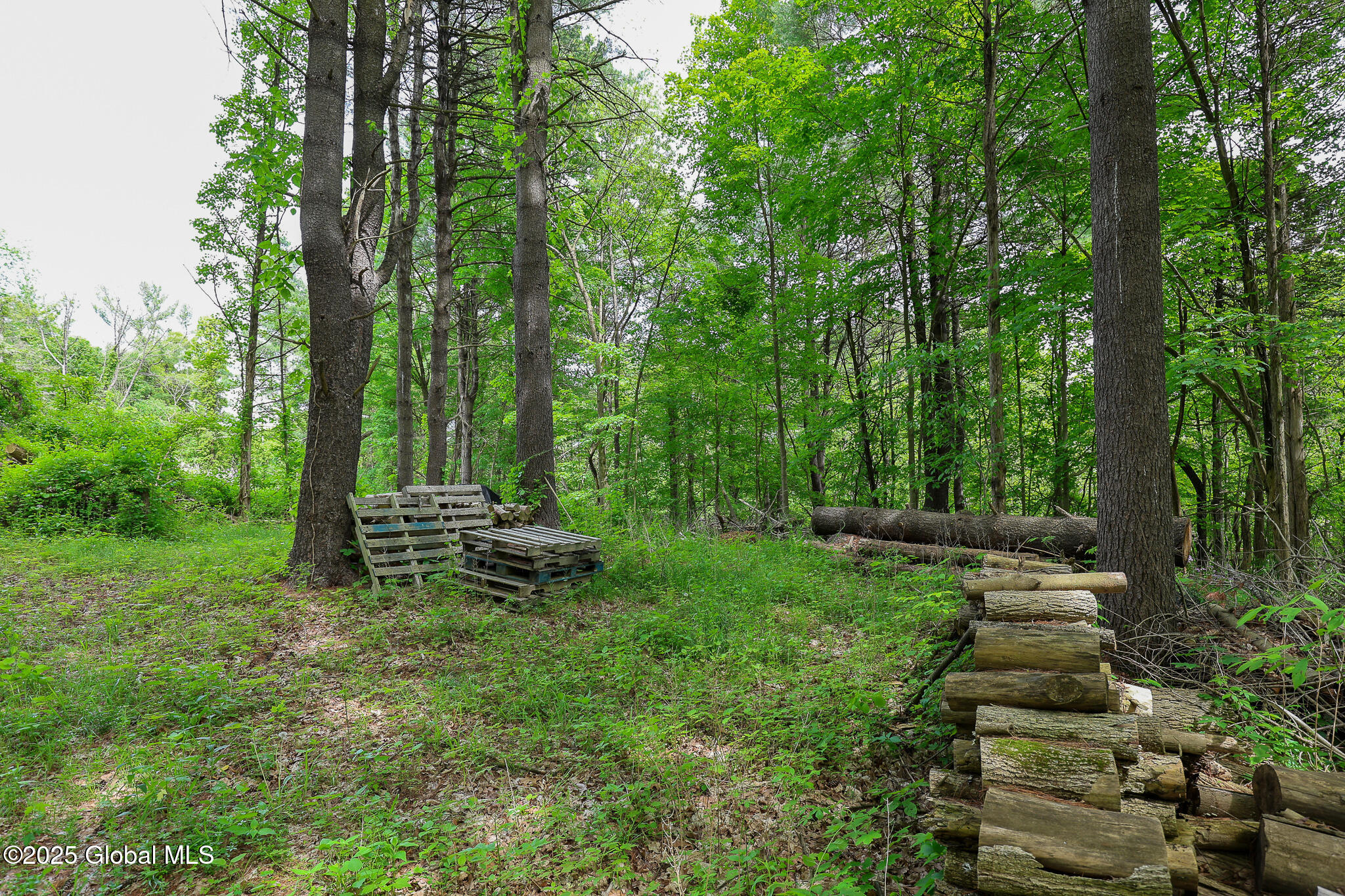 1286 Aquetuck Road, Ravena, New York image 11