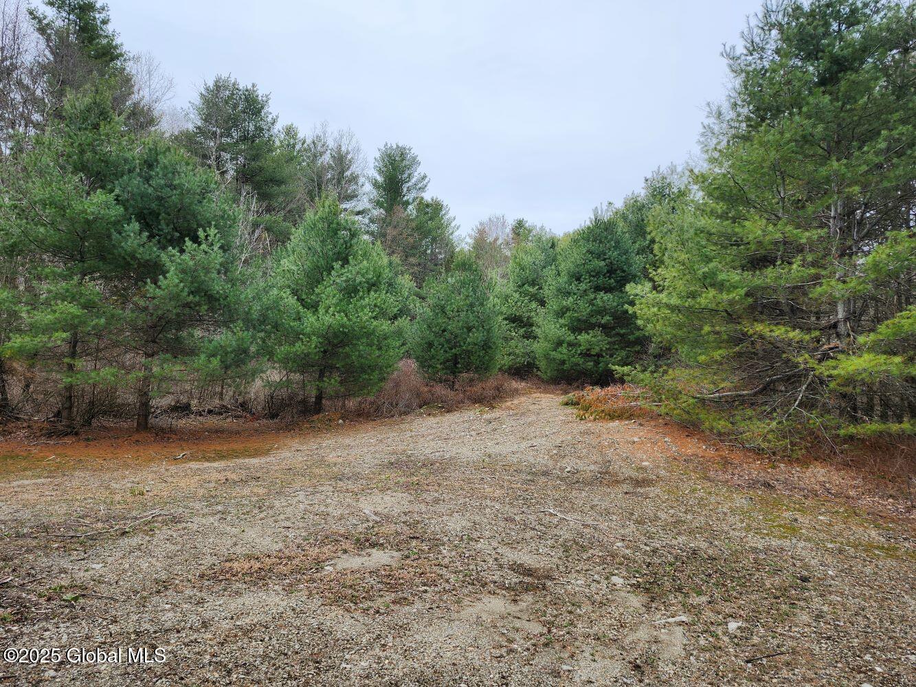 L26.7 Pine Hill Road, Salem, New York image 10