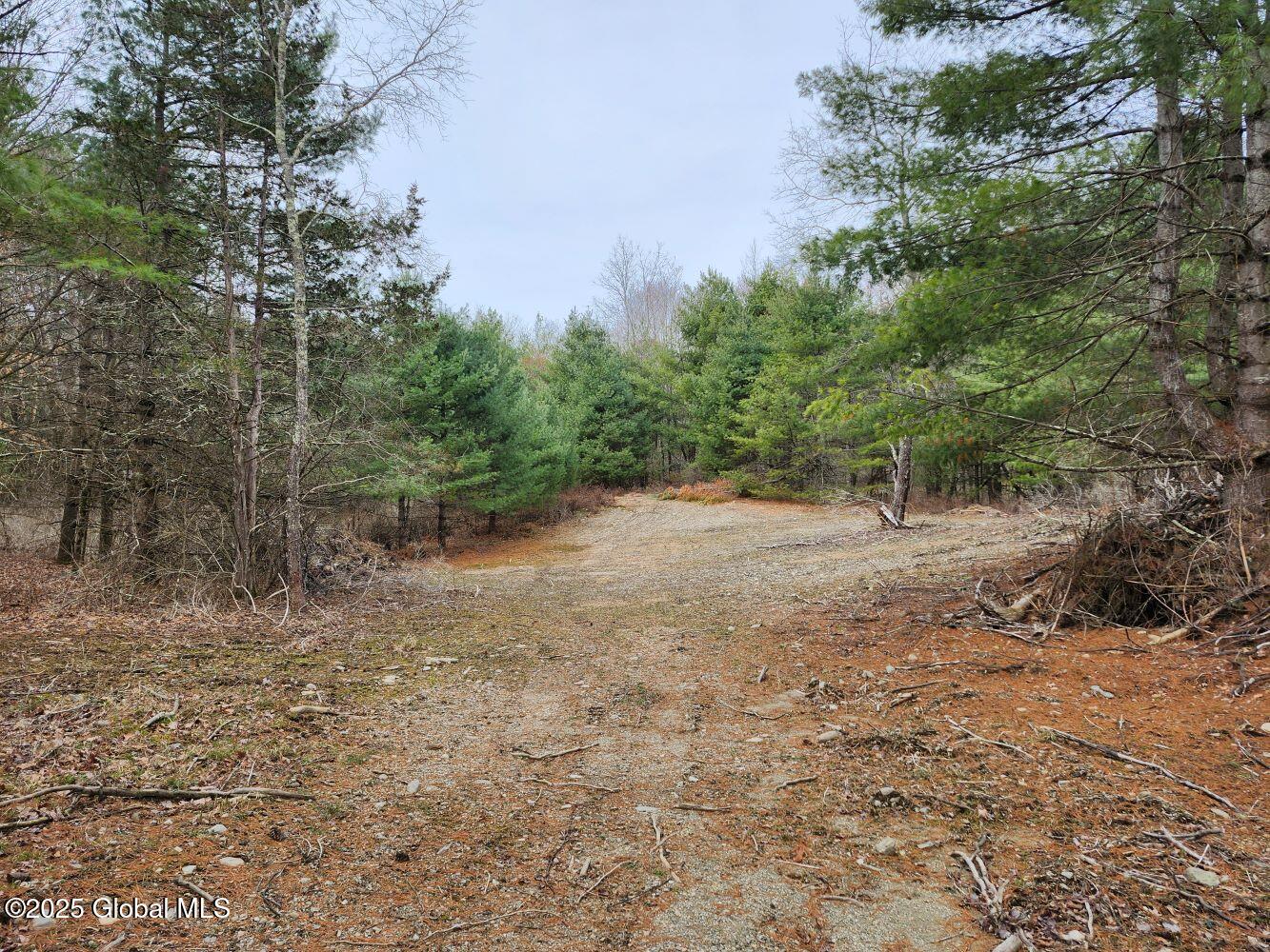 L26.7 Pine Hill Road, Salem, New York image 1