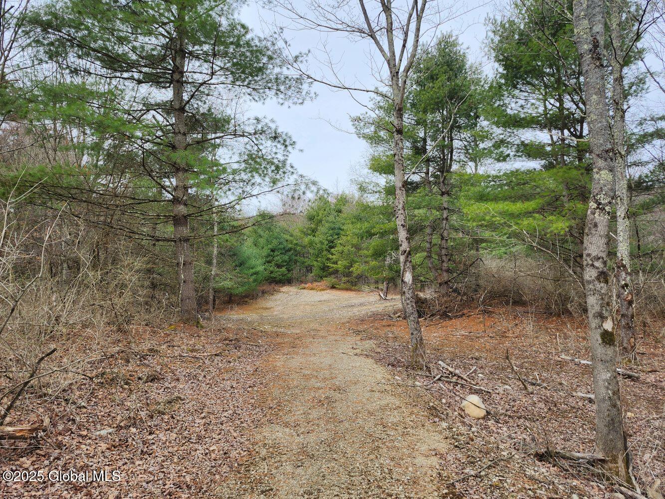 L26.7 Pine Hill Road, Salem, New York image 7